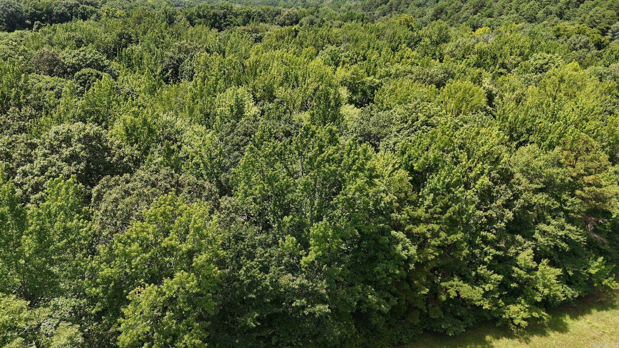 6395 Highway 8 W. Property Photo 29