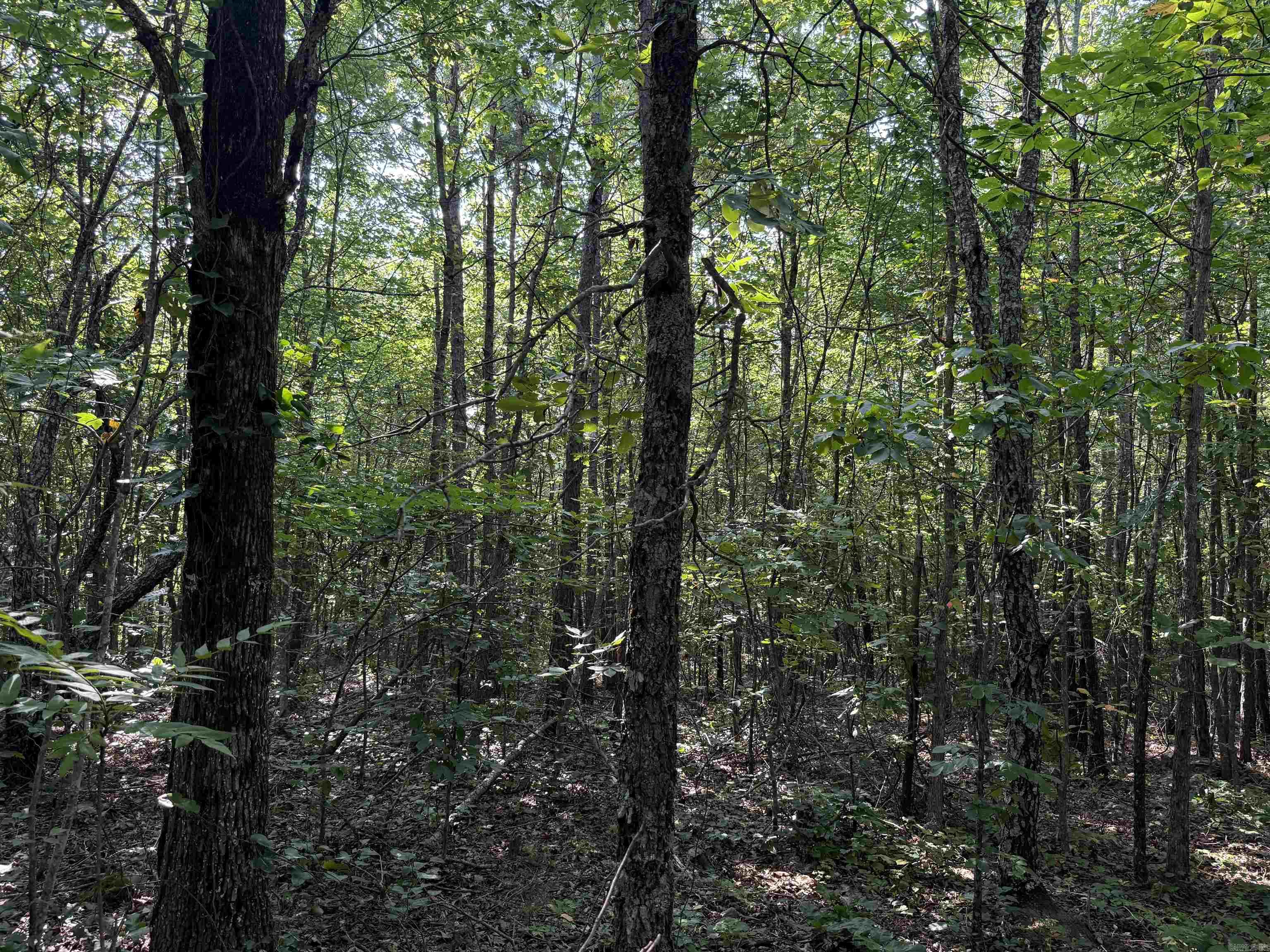 385 Eagle Heights Drive Property Photo 41