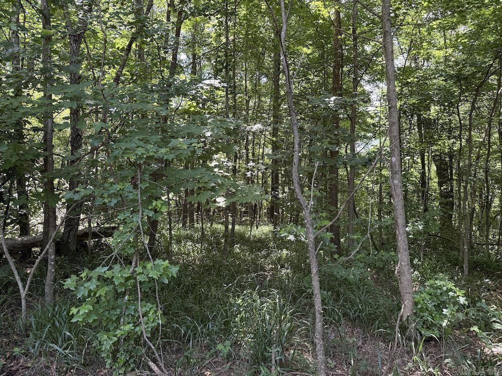 Cr5 Property Photo 15