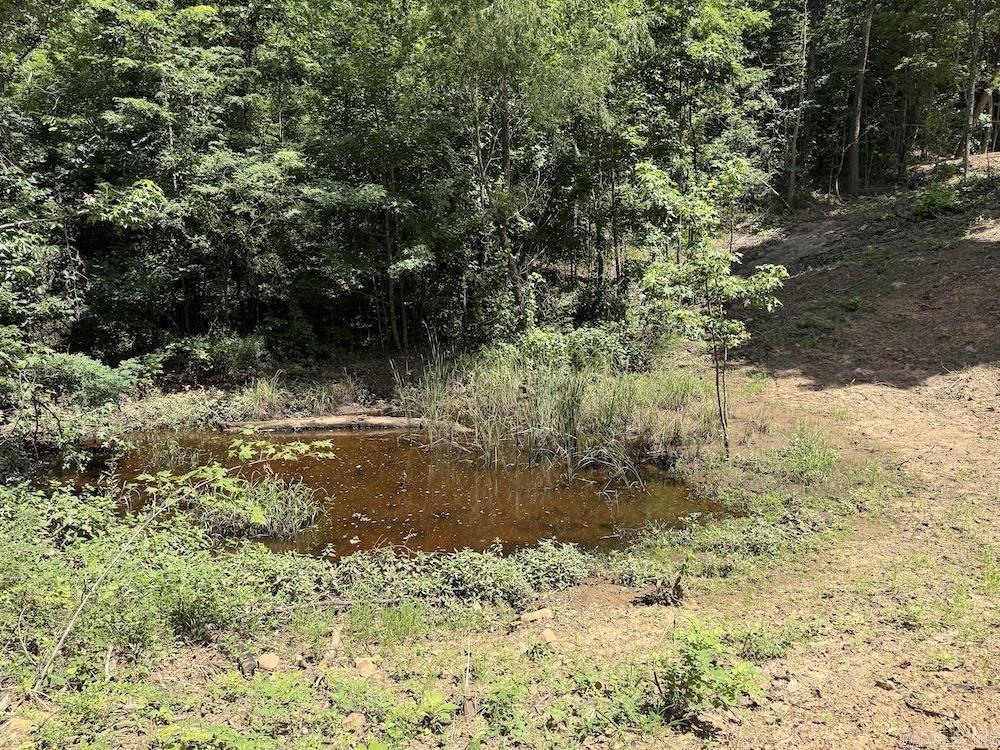 Cr5 Property Photo 16