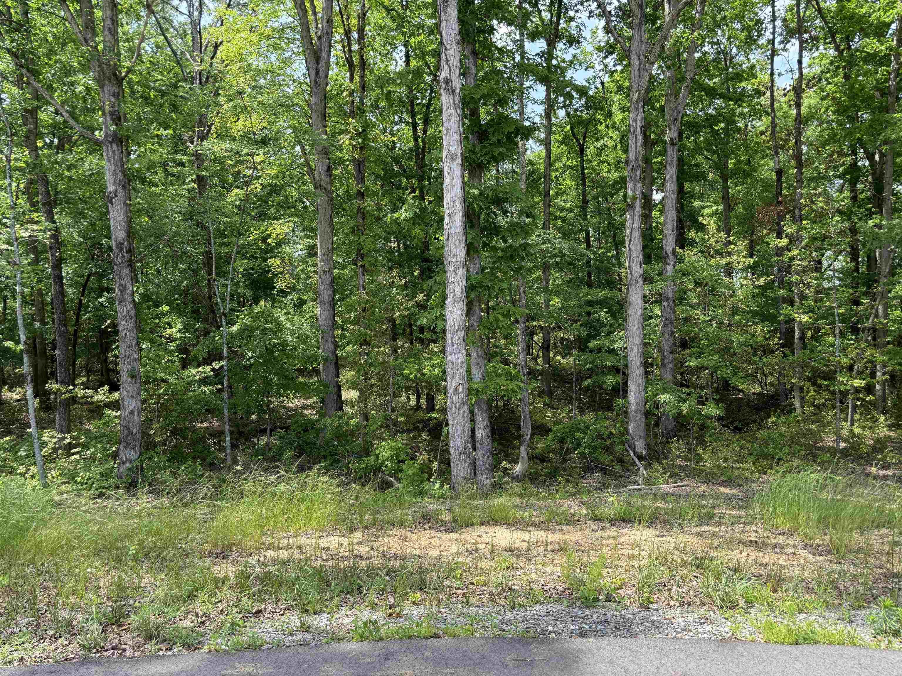0 Grant 763 (lot 23) Property Photo 1
