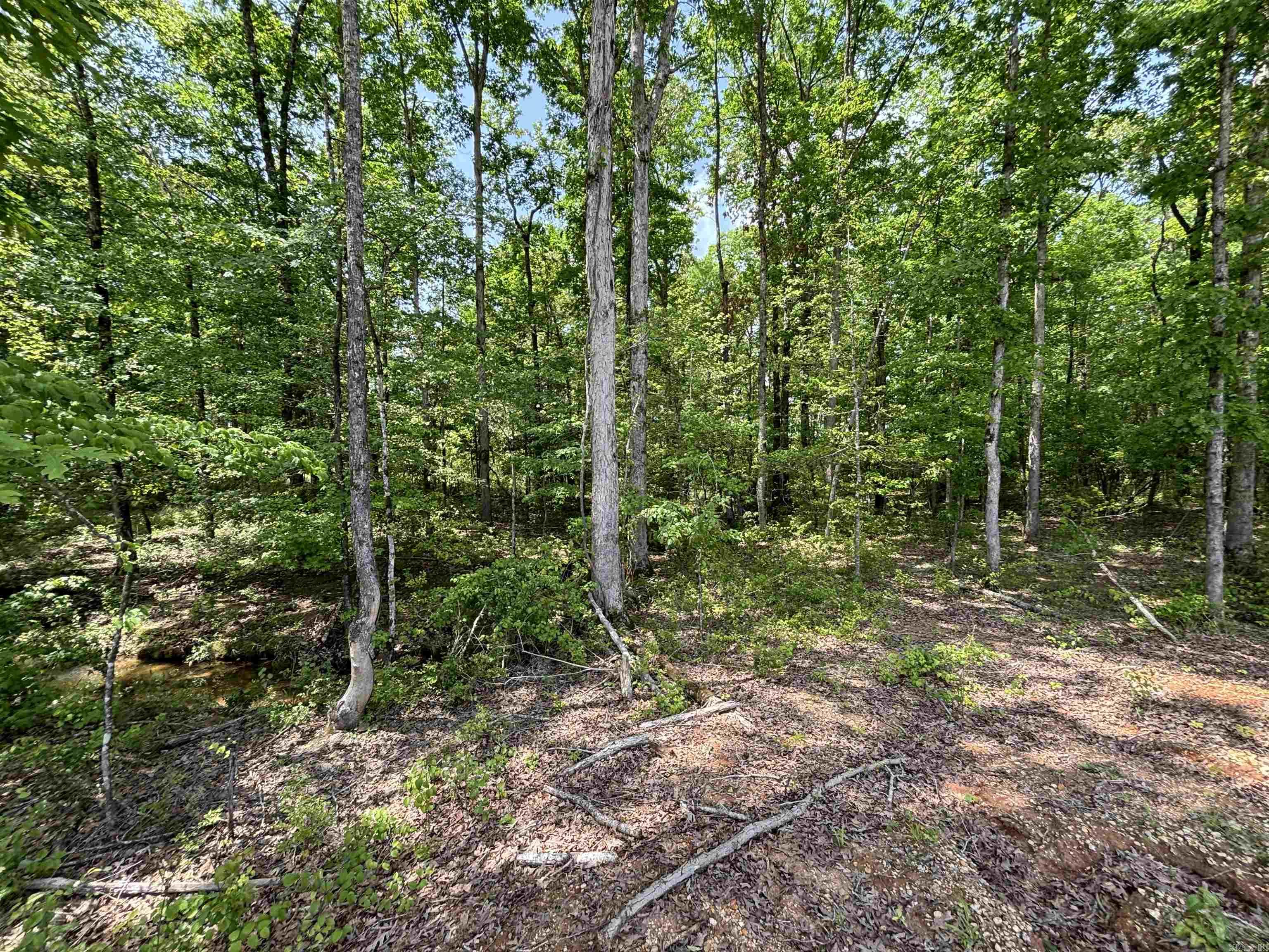 0 Grant 763 (lot 23) Property Photo 2
