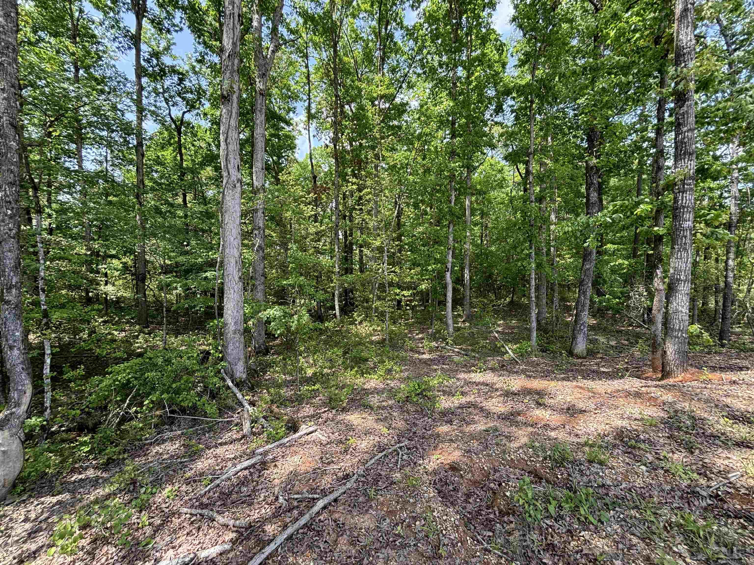 0 Grant 763 (lot 23) Property Photo 3