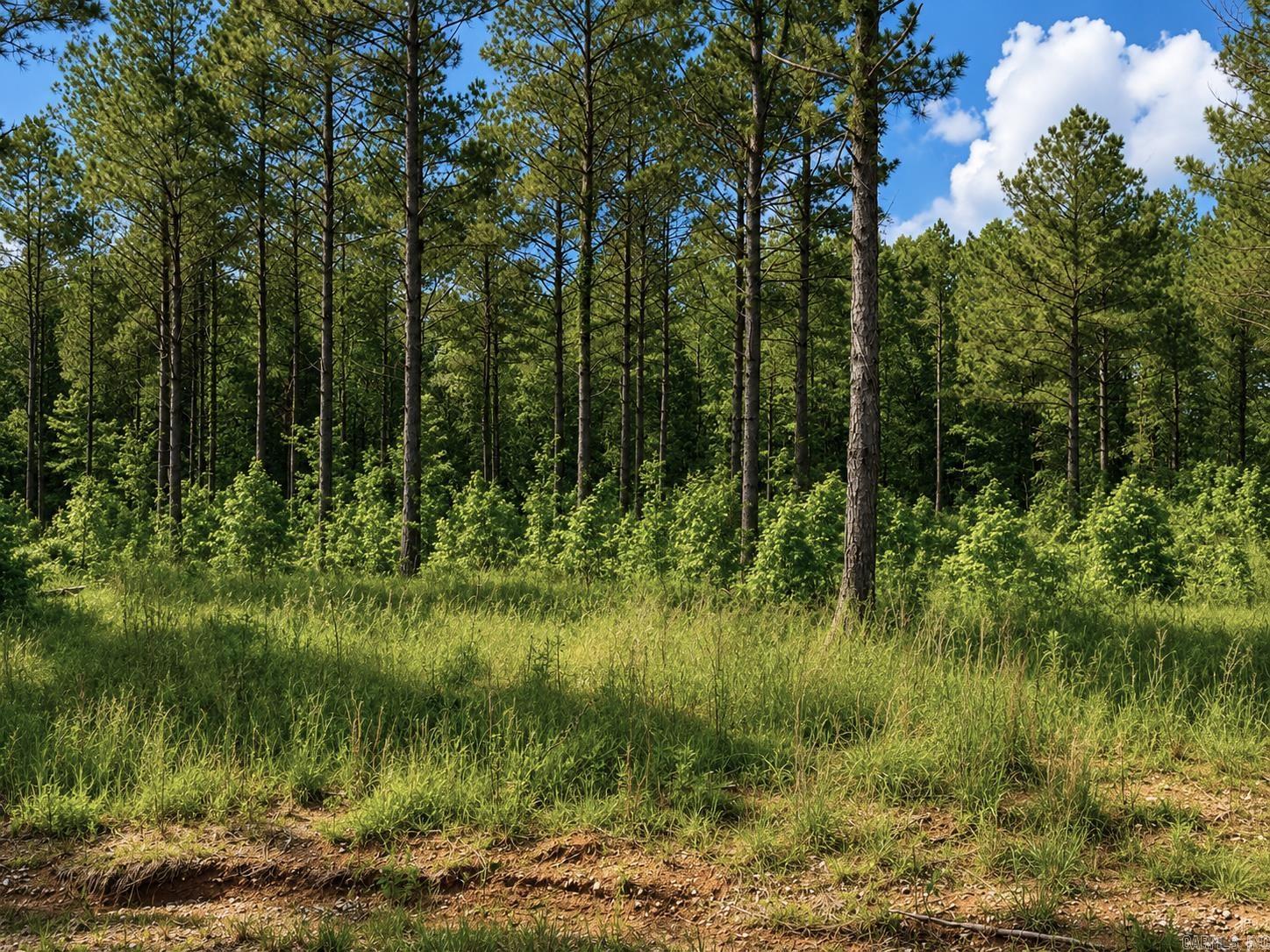 0 Grant 761 (lot 16) Property Photo 1