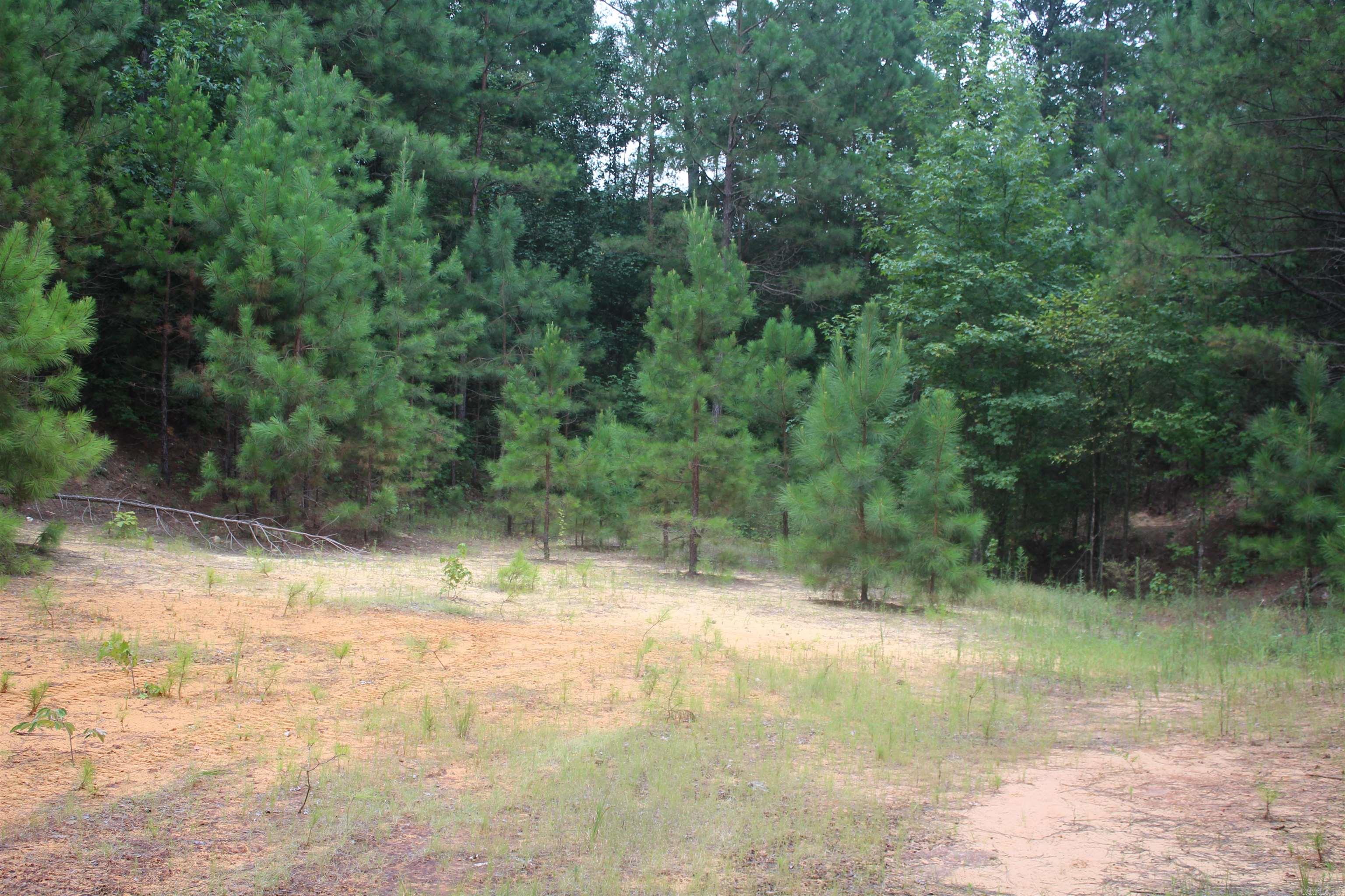 332 North Park Avenue Property Photo 2