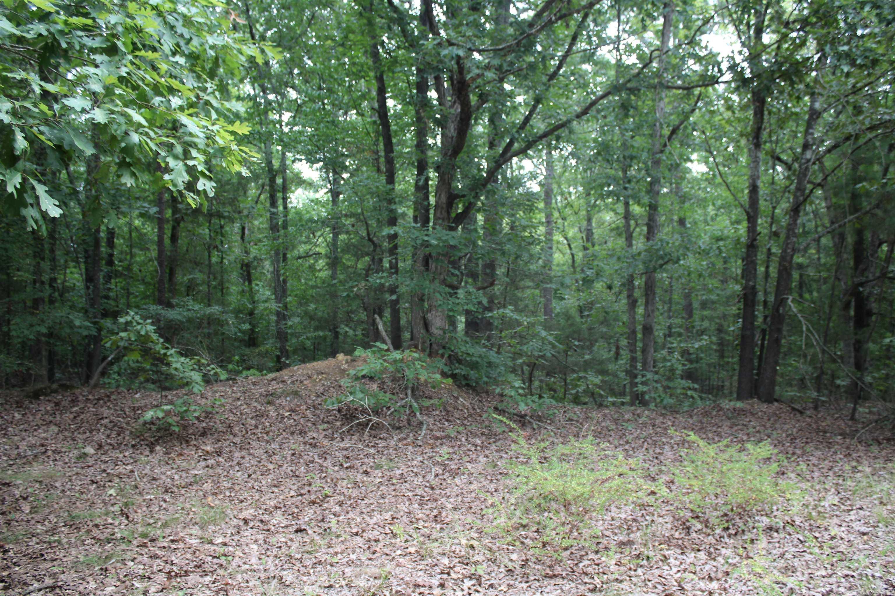 332 North Park Avenue Property Photo 3