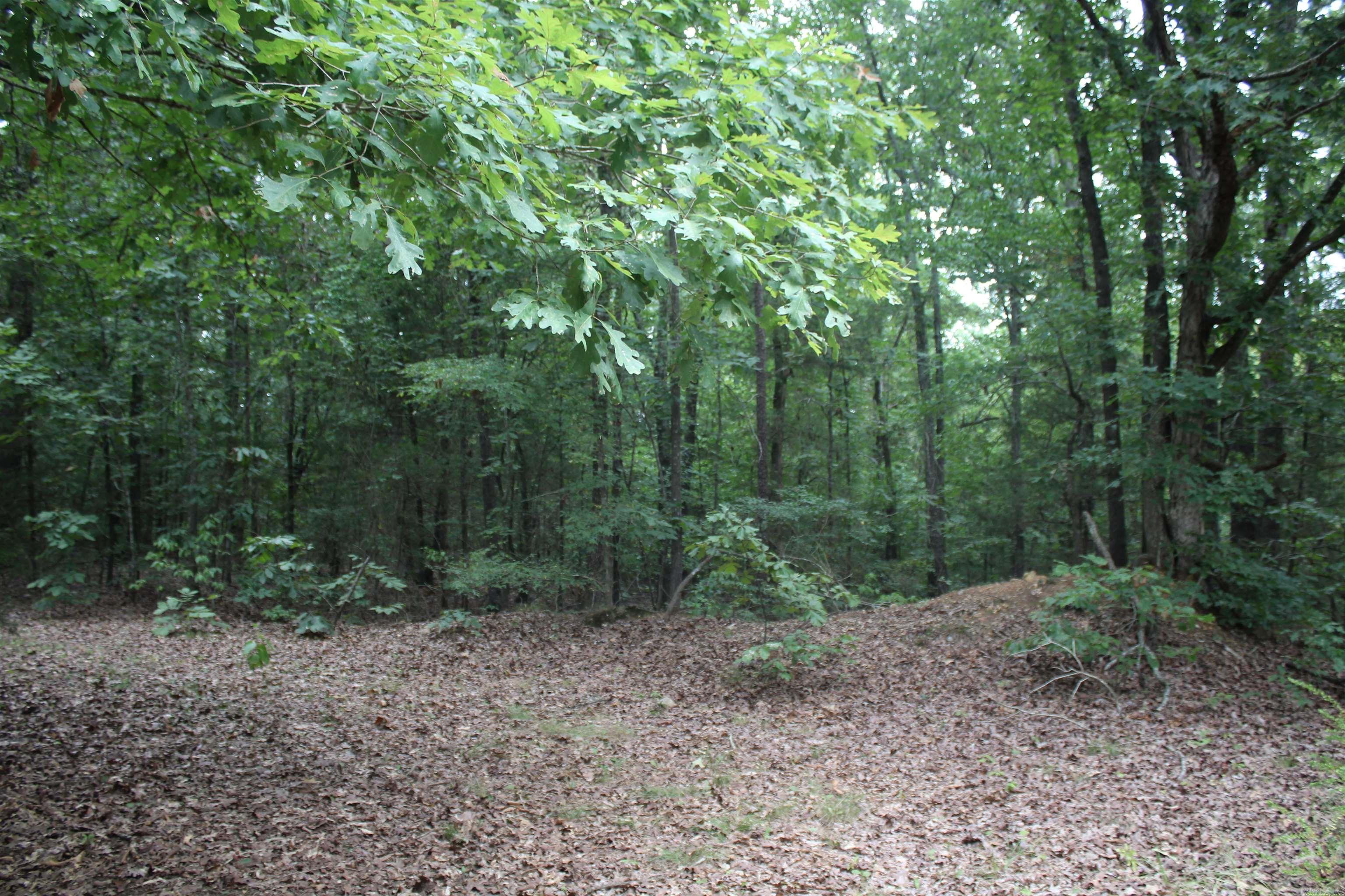 332 North Park Avenue Property Photo 4