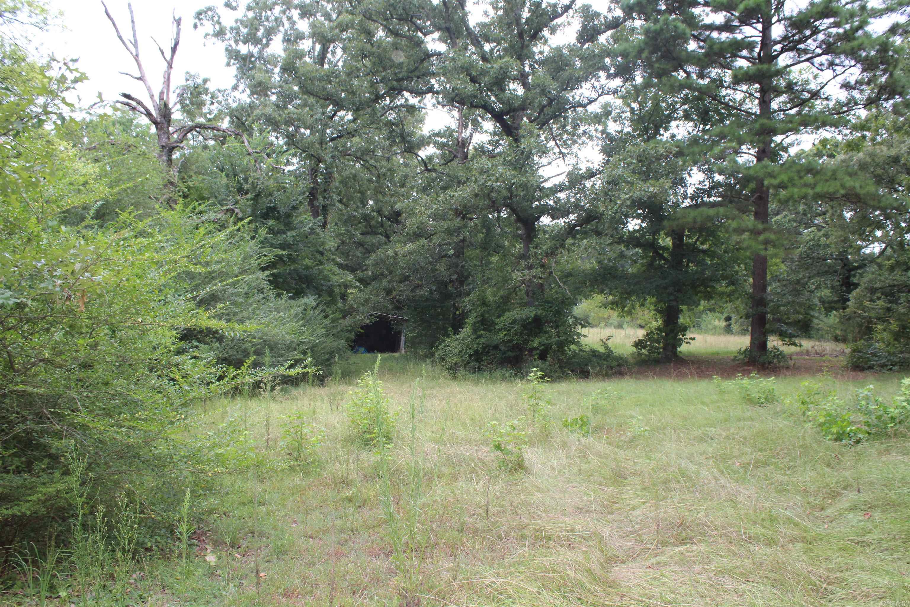 332 North Park Avenue Property Photo 5