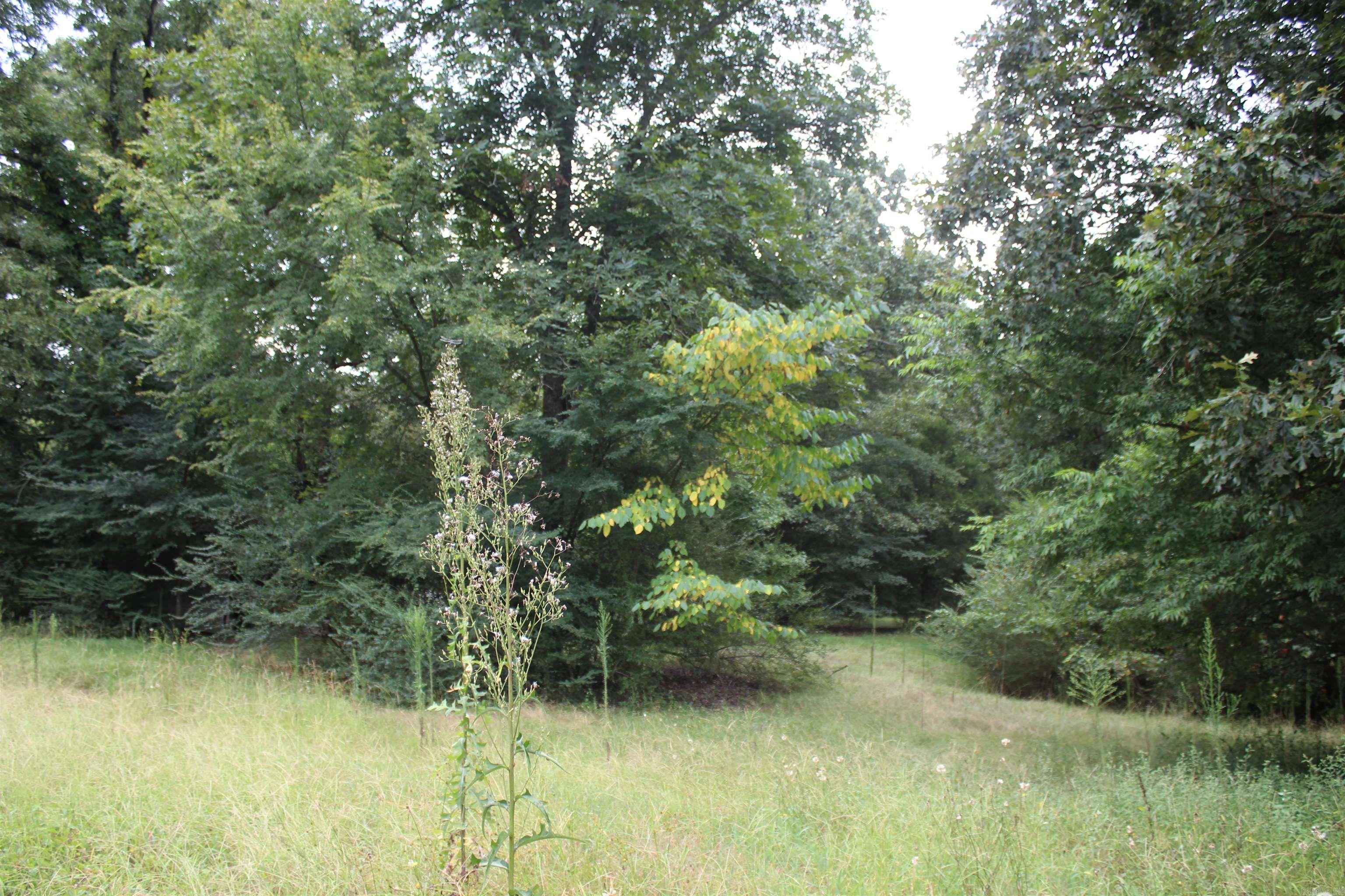 332 North Park Avenue Property Photo 8