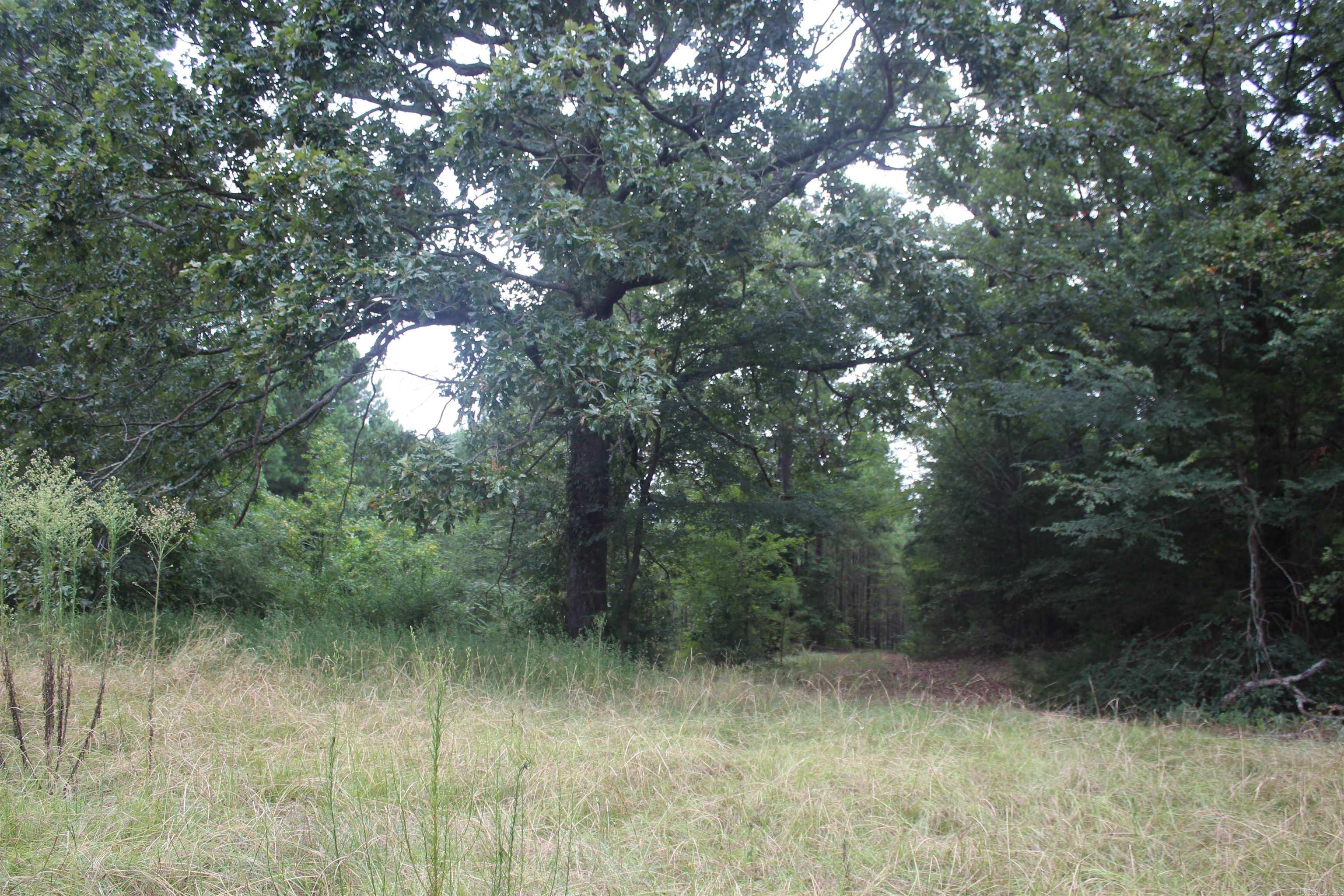 332 North Park Avenue Property Photo 9
