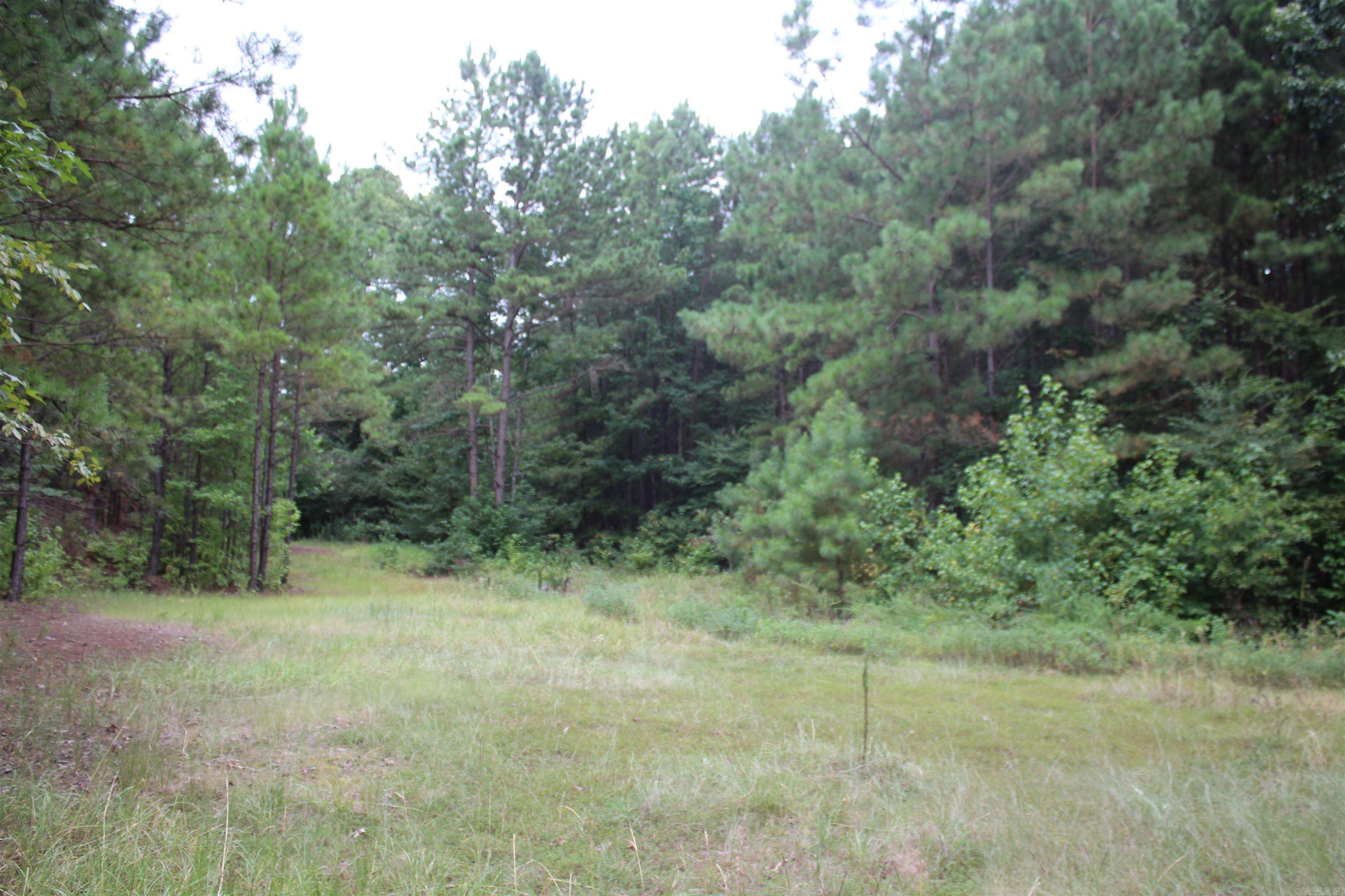 332 North Park Avenue Property Photo 10