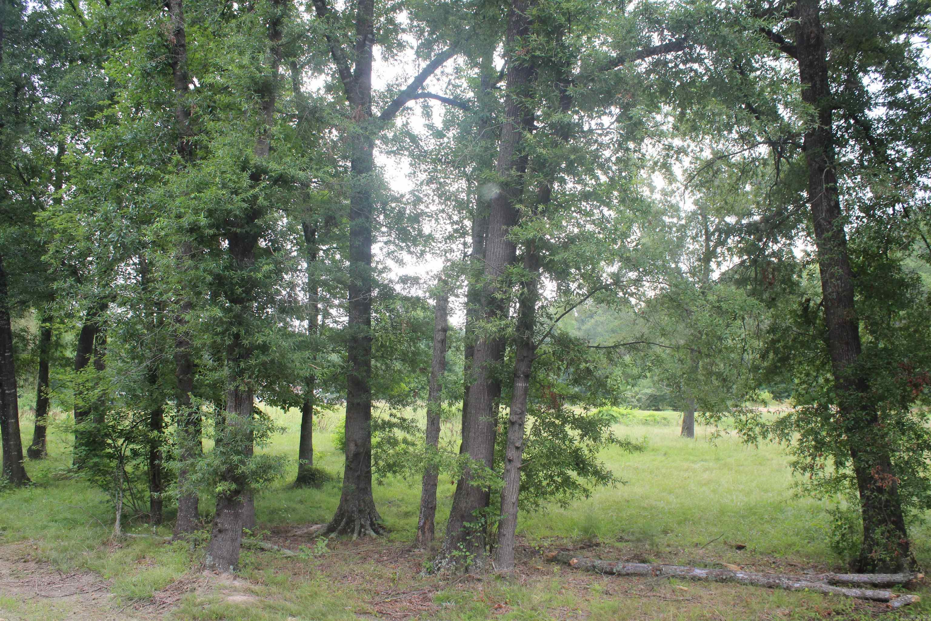 332 North Park Avenue Property Photo 15
