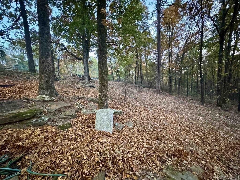 204 Maddox #1 Property Photo 43