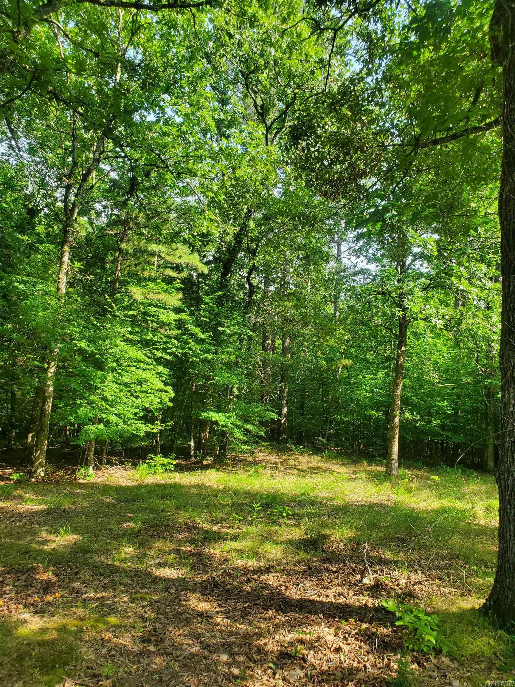Tbd Nella Road Property Photo 3
