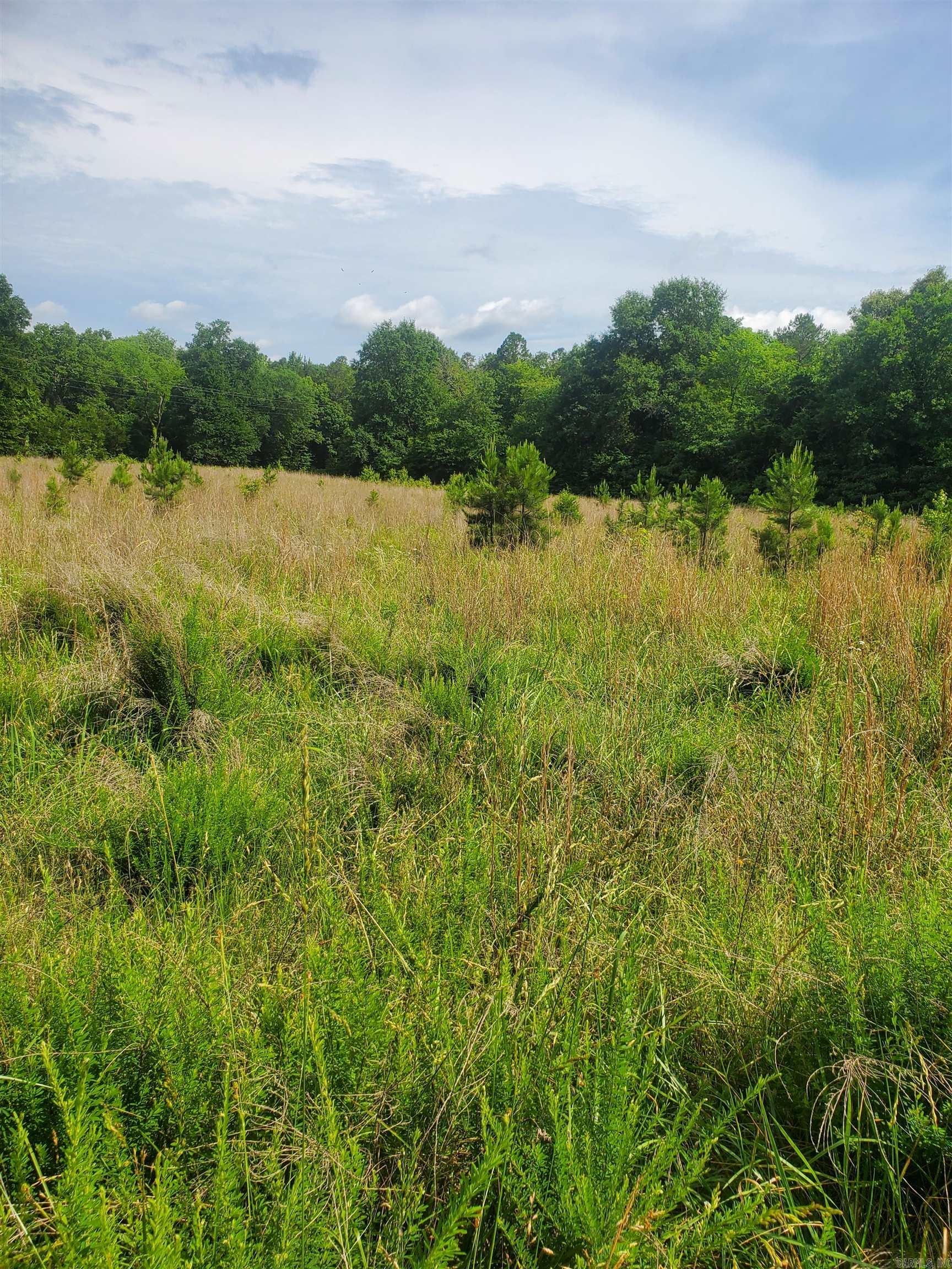Tbd Nella Road Property Photo 5