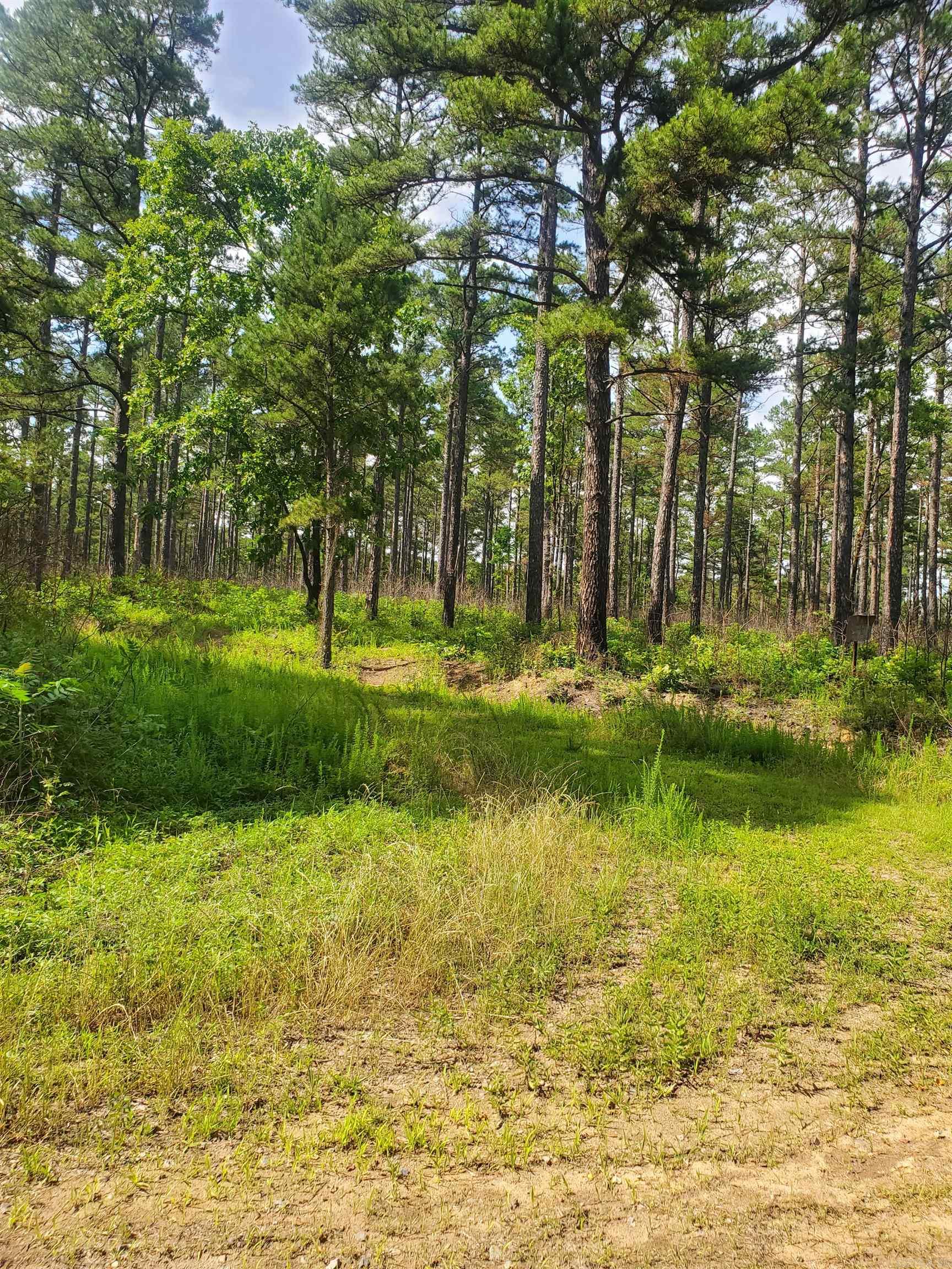 Tbd Nella Road Property Photo 8