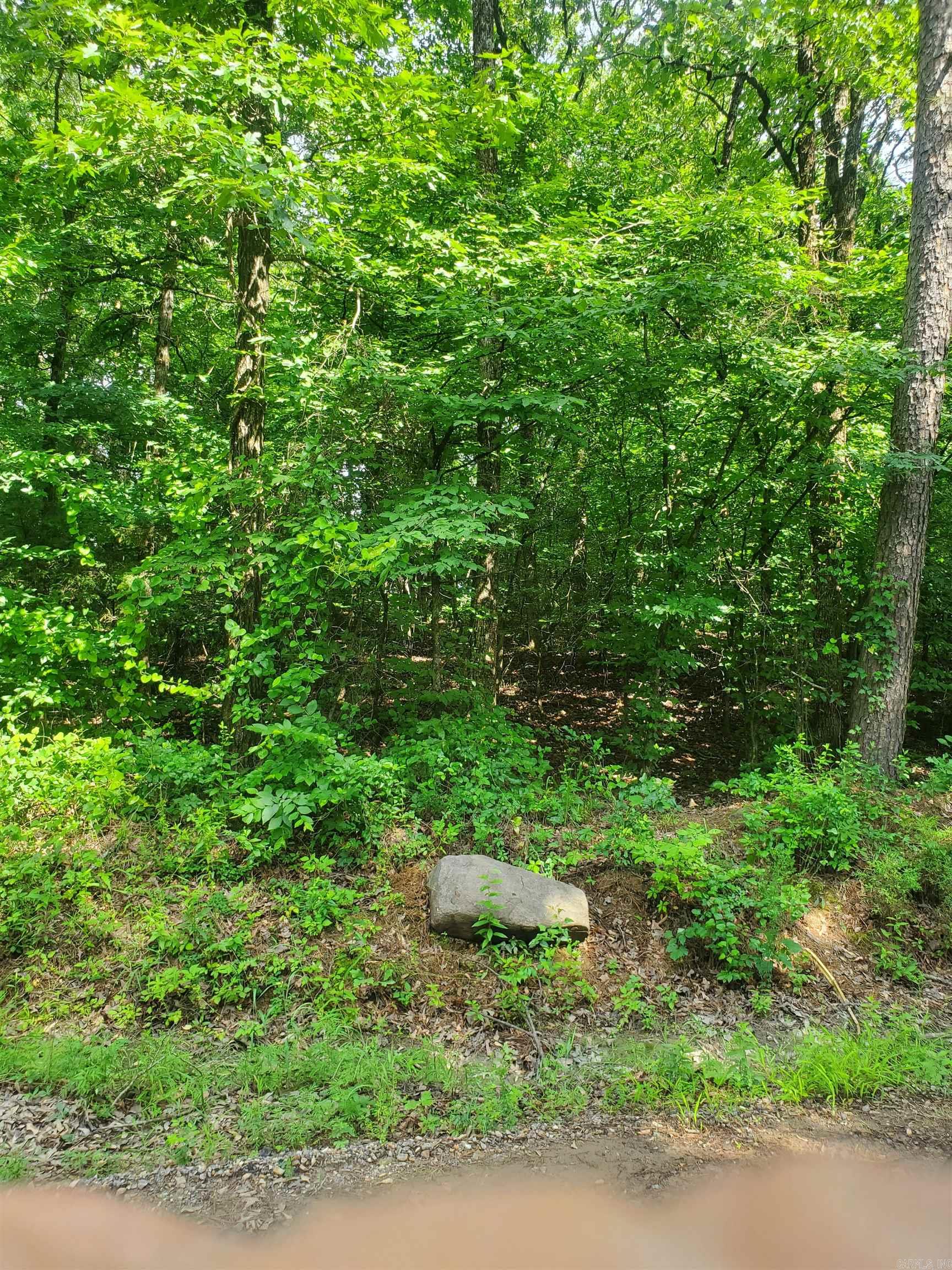 Tbd Nella Road Property Photo 9
