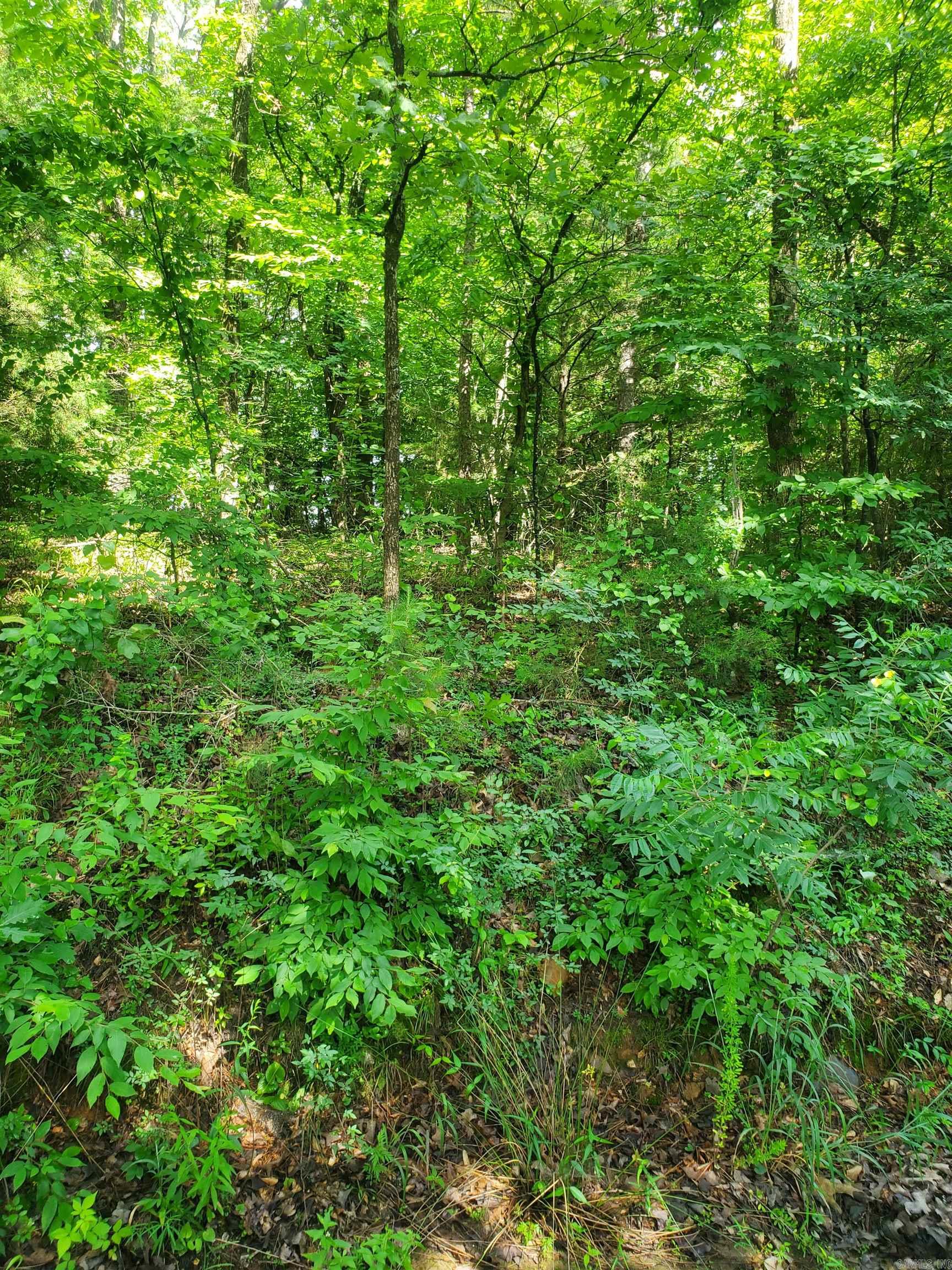 Tbd Nella Road Property Photo 10