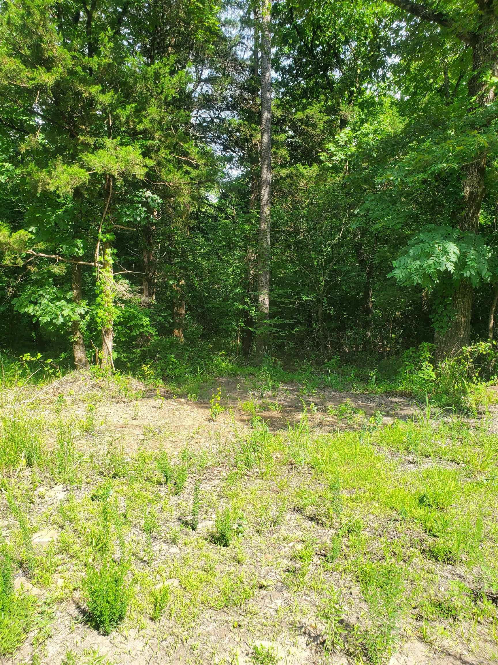 Tbd Nella Road Property Photo 11