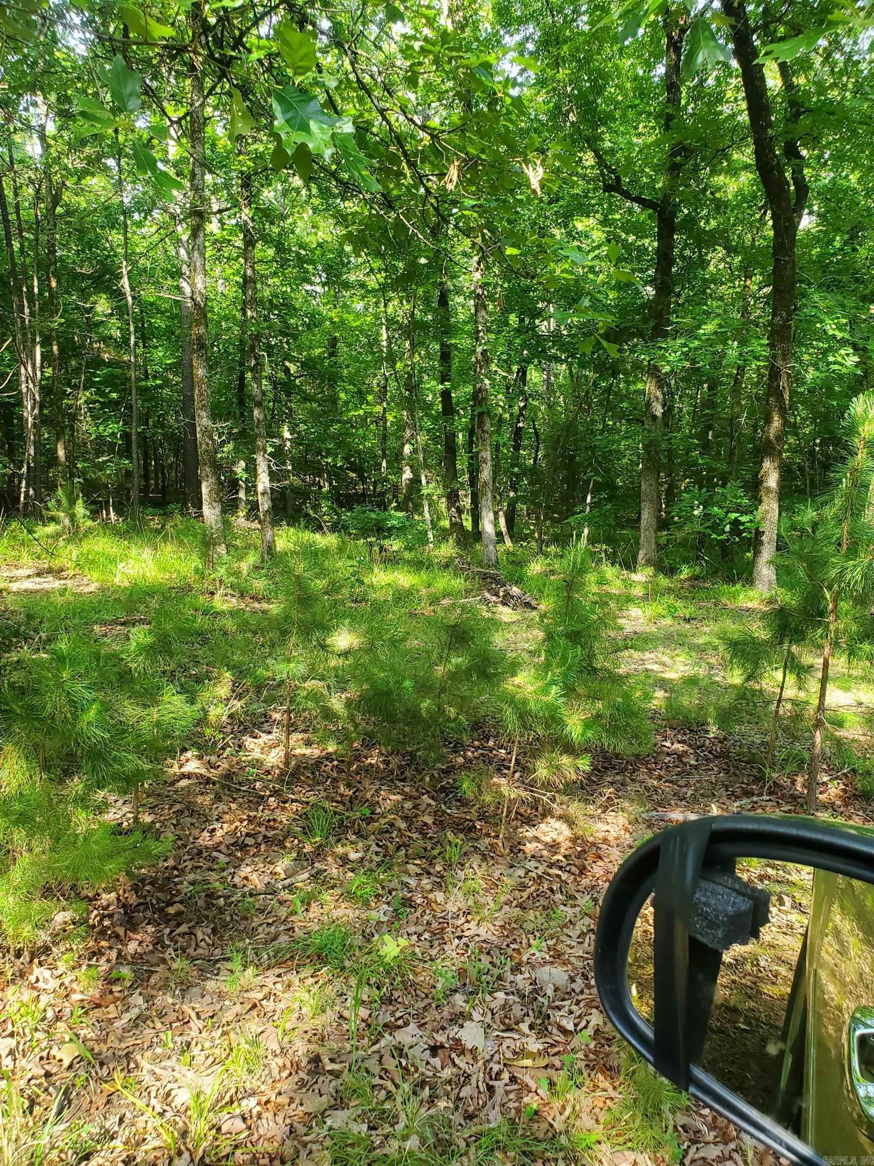 Tbd Nella Road Property Photo 12