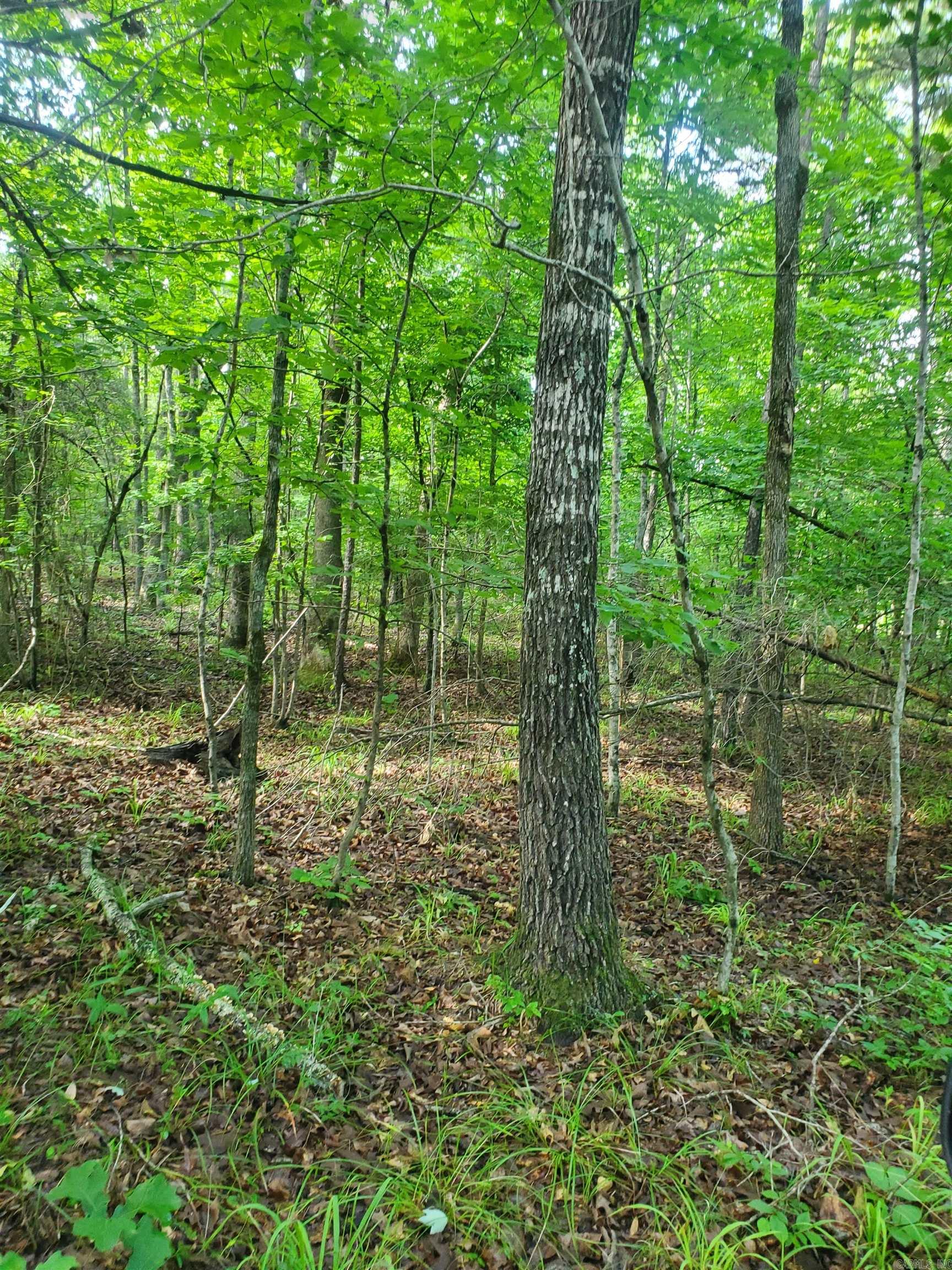 Tbd Nella Road Property Photo 13