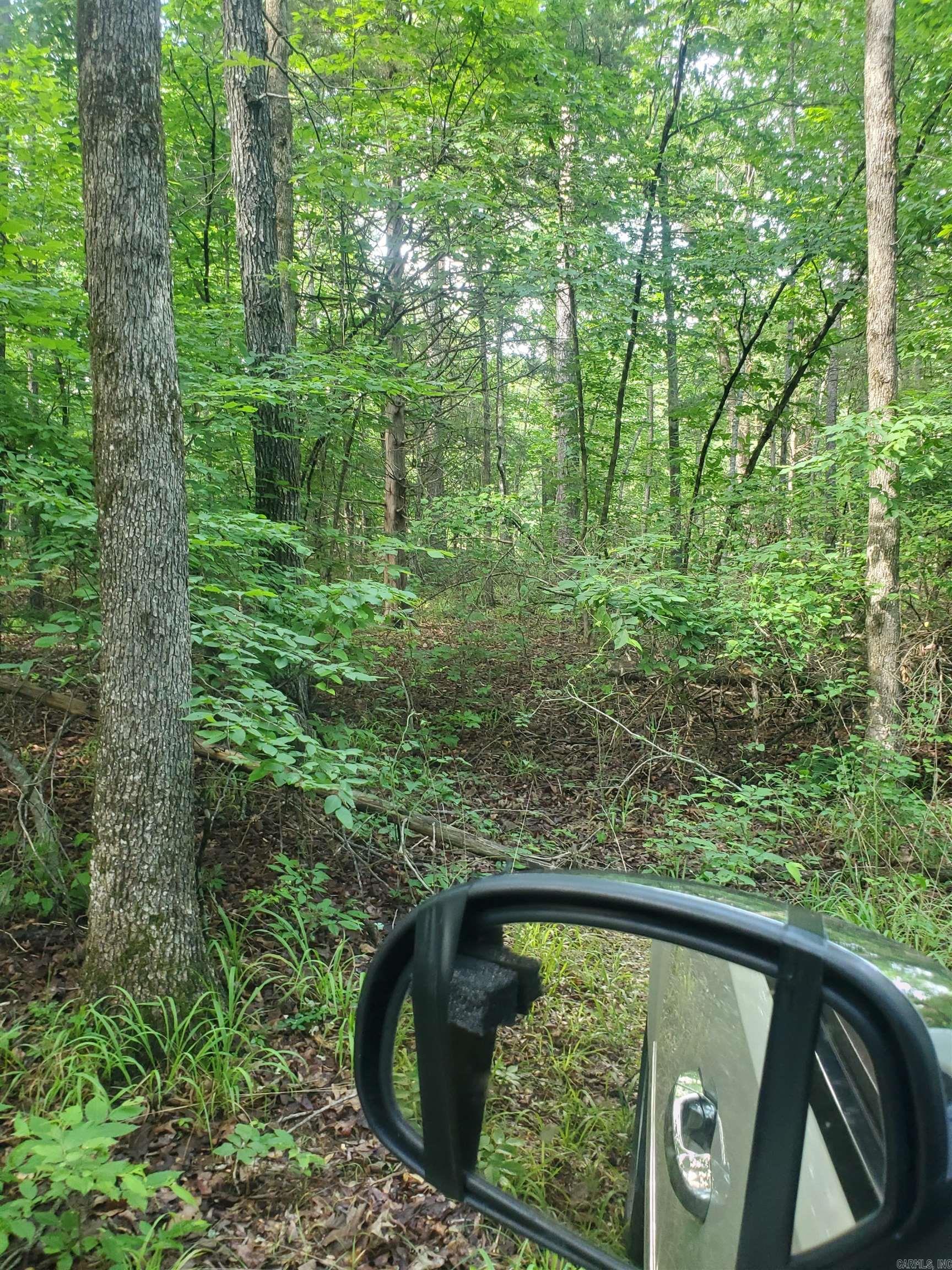 Tbd Nella Road Property Photo 14