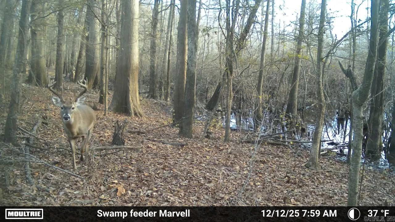 3225 Loop Rd Property Photo 4