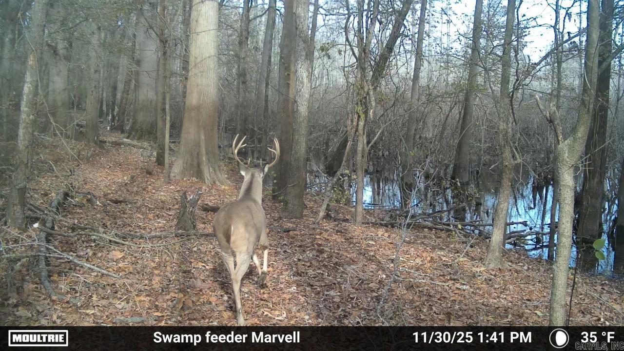 3225 Loop Rd Property Photo 5