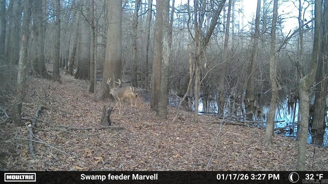 3225 Loop Rd Property Photo 8