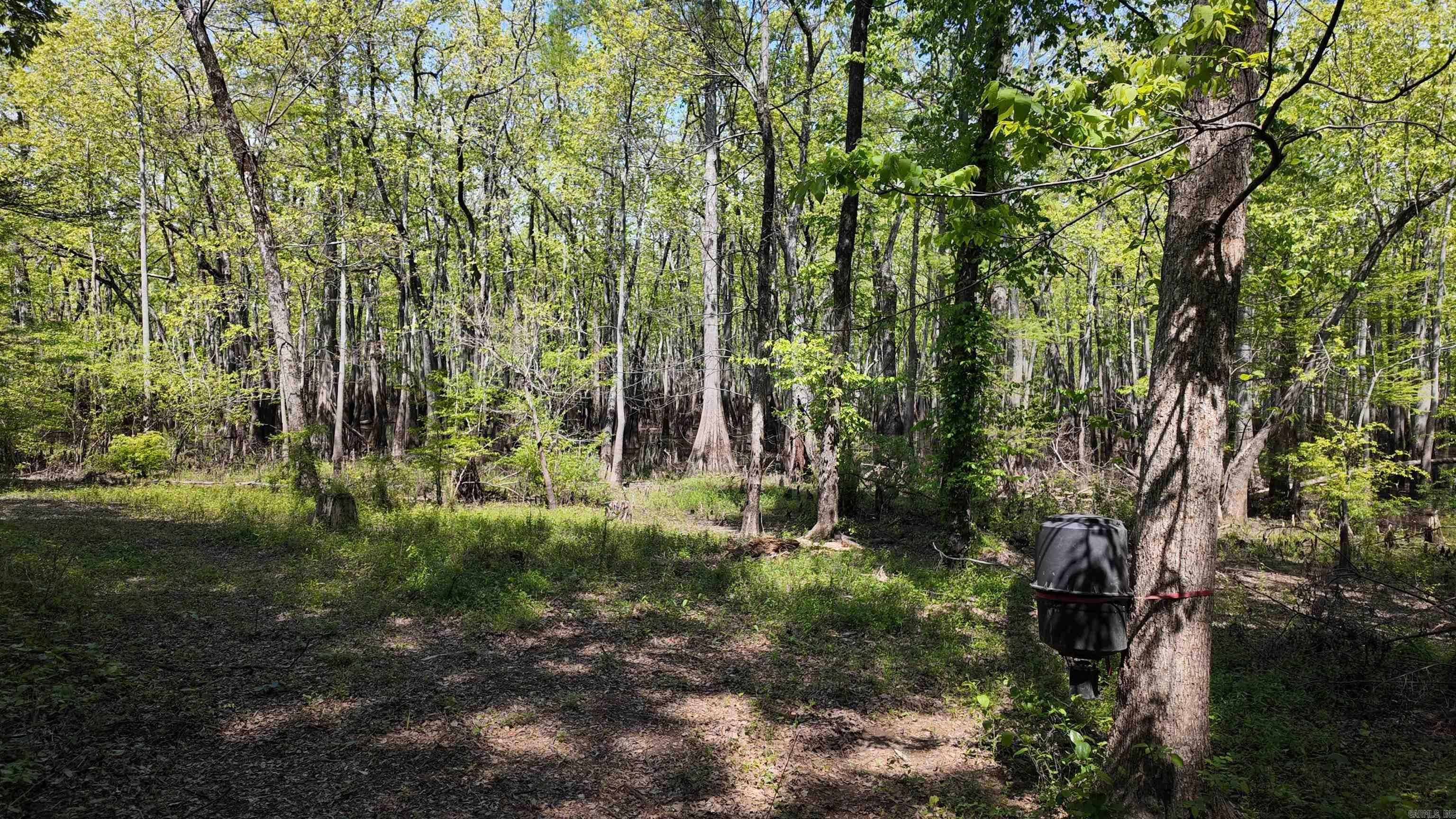 3225 Loop Rd Property Photo 18