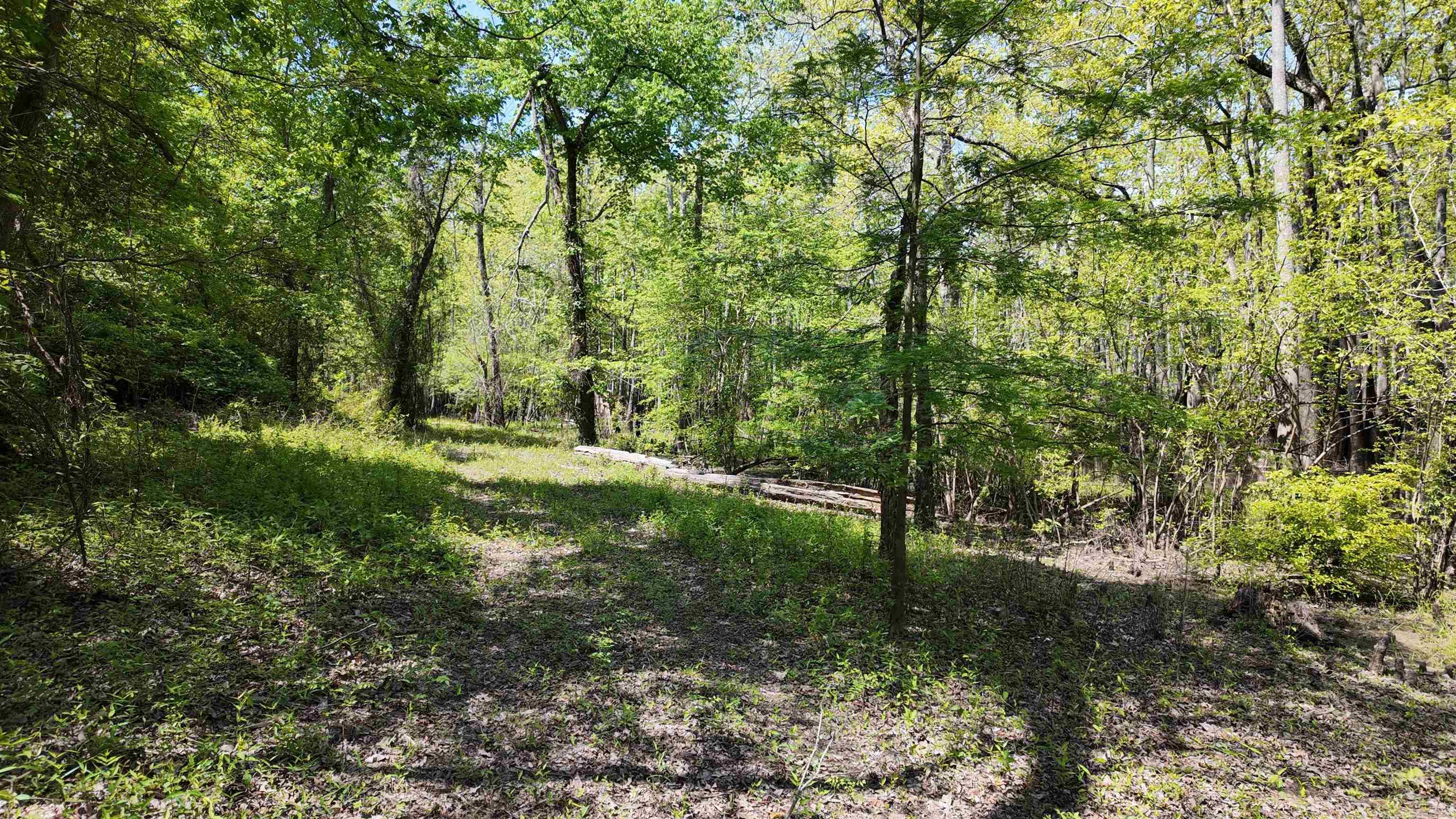 3225 Loop Rd Property Photo 19