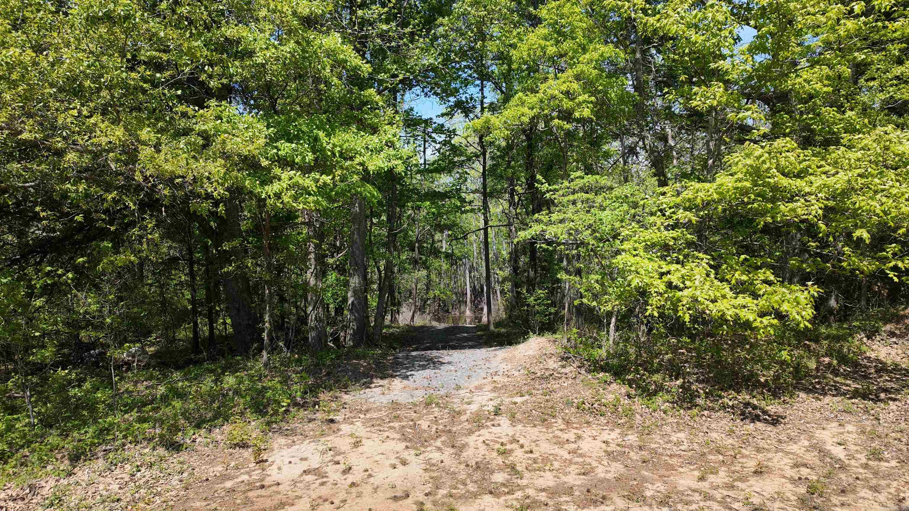 3225 Loop Rd Property Photo 21