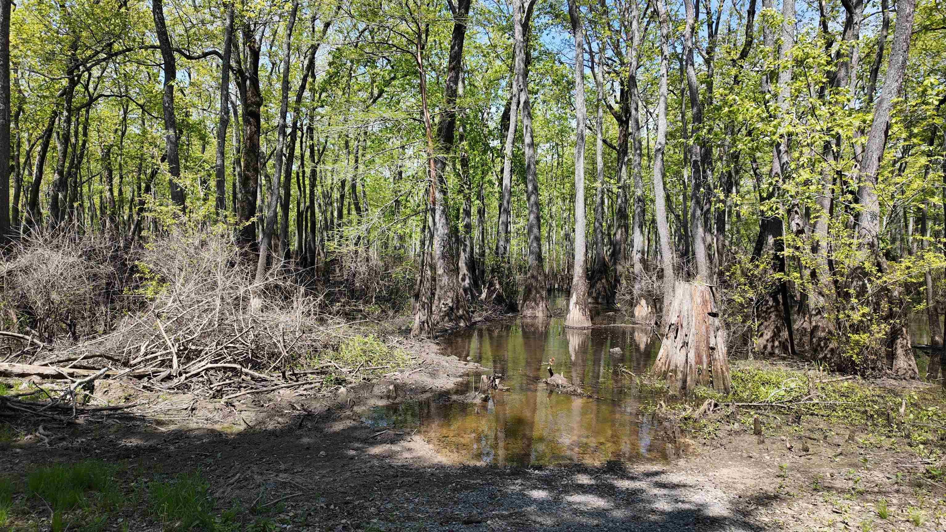 3225 Loop Rd Property Photo 23