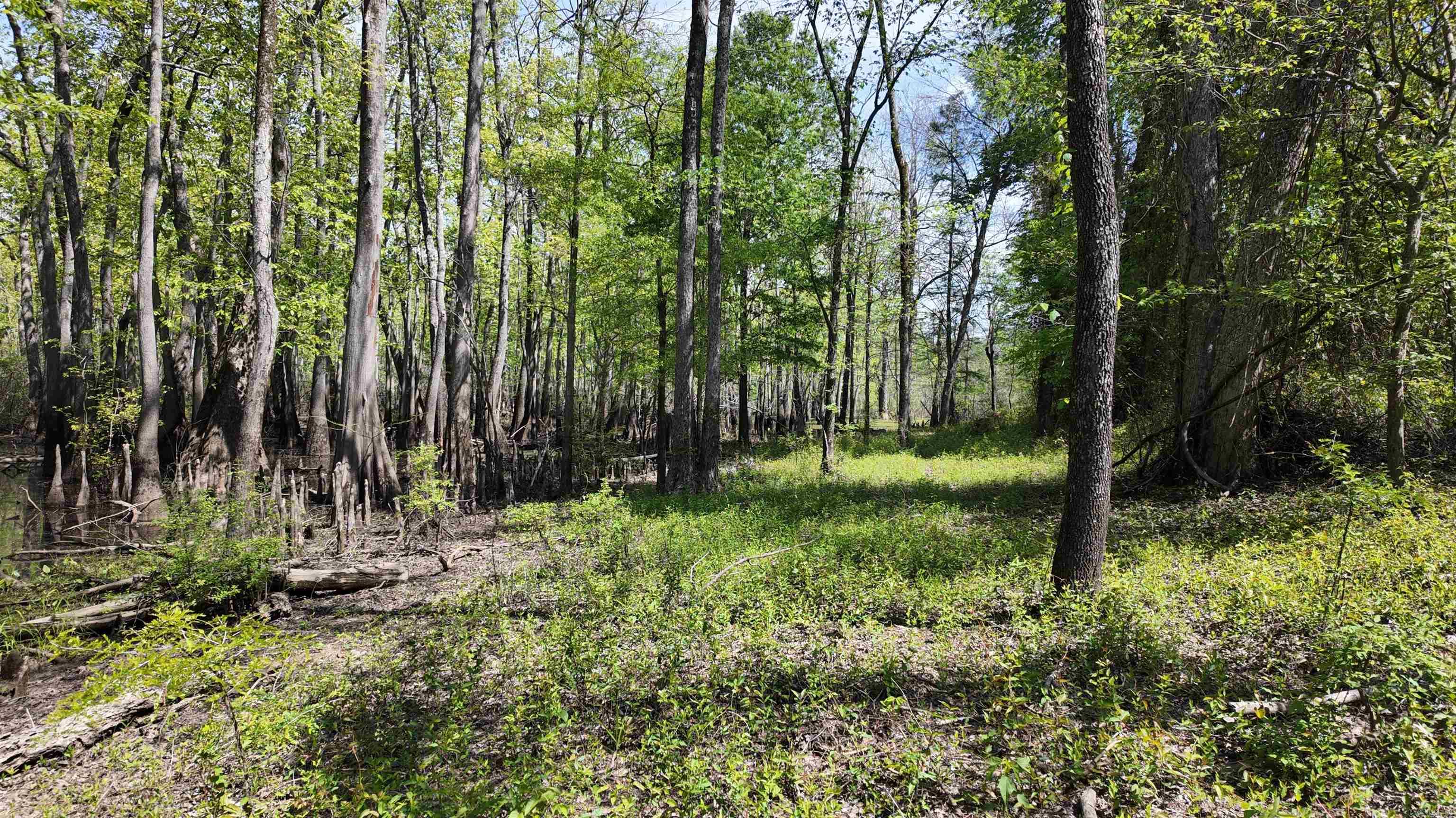 3225 Loop Rd Property Photo 24