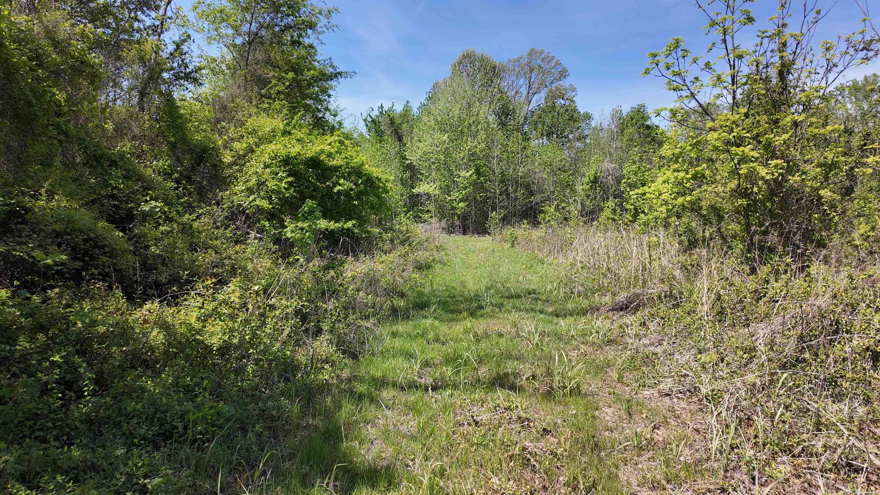 3225 Loop Rd Property Photo 28