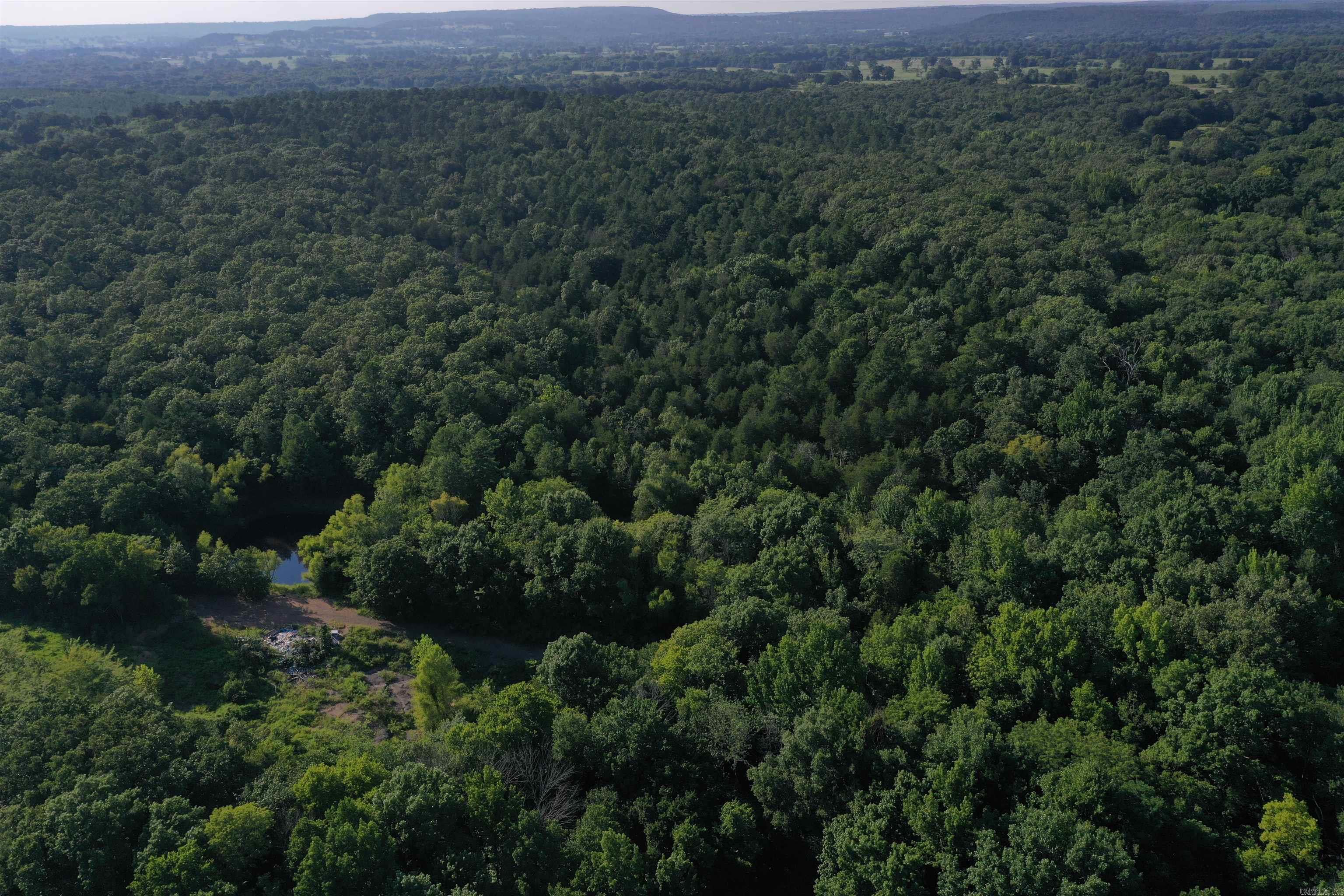 17803 Lucas Bottom Rd Property Photo 6