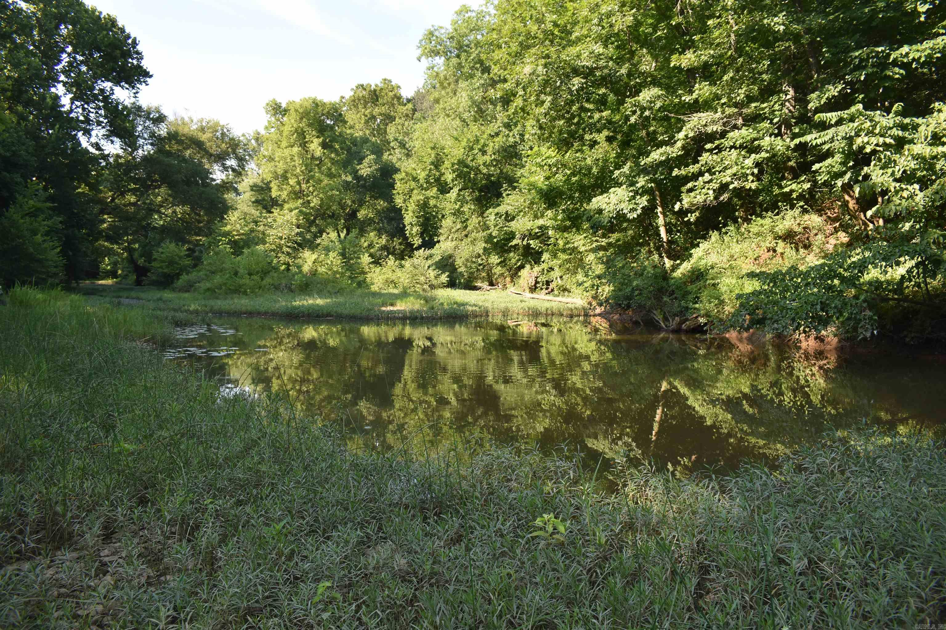 17803 Lucas Bottom Rd Property Photo 22
