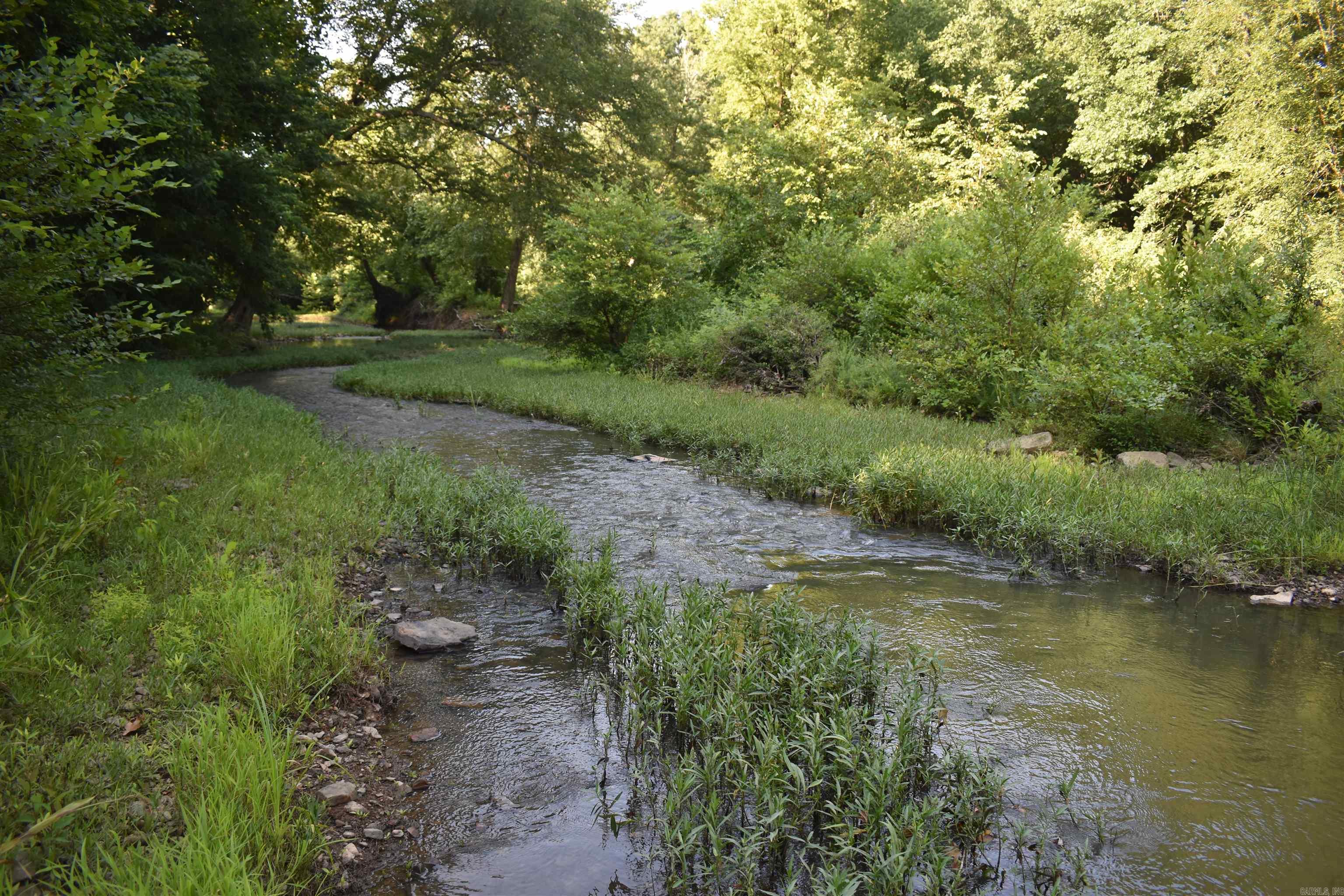 17803 Lucas Bottom Rd Property Photo 24