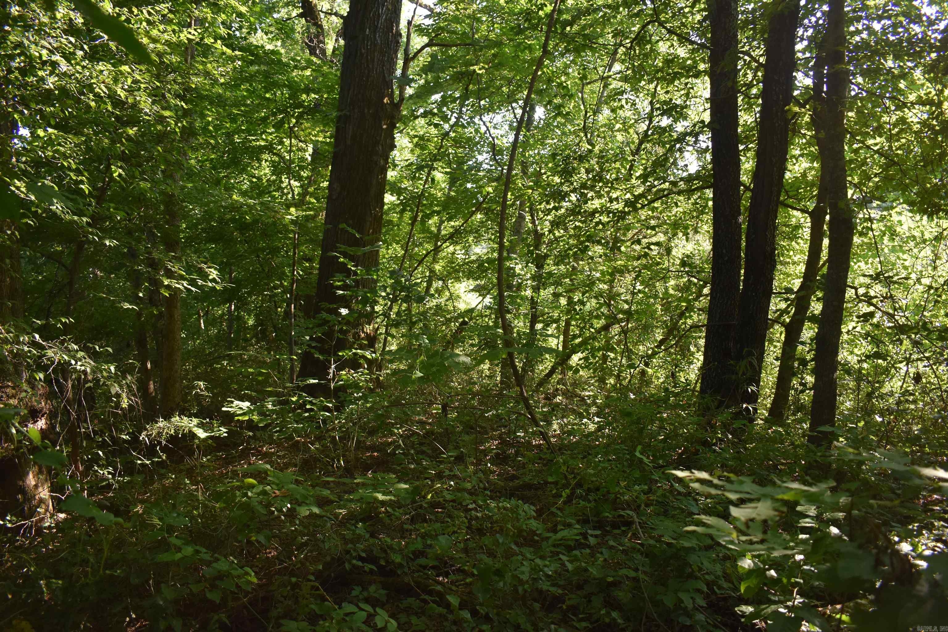 17803 Lucas Bottom Rd Property Photo 30