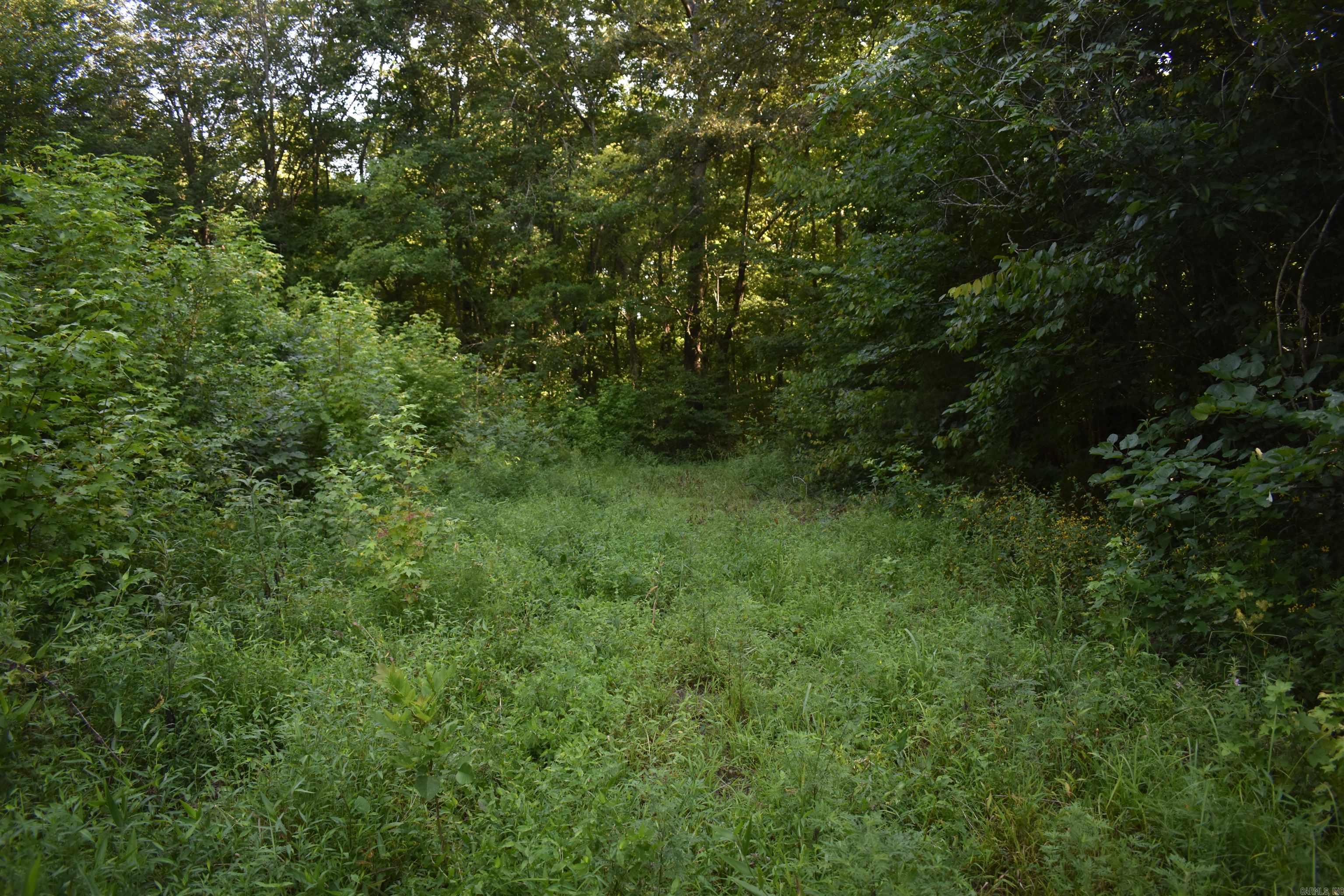 17803 Lucas Bottom Rd Property Photo 32
