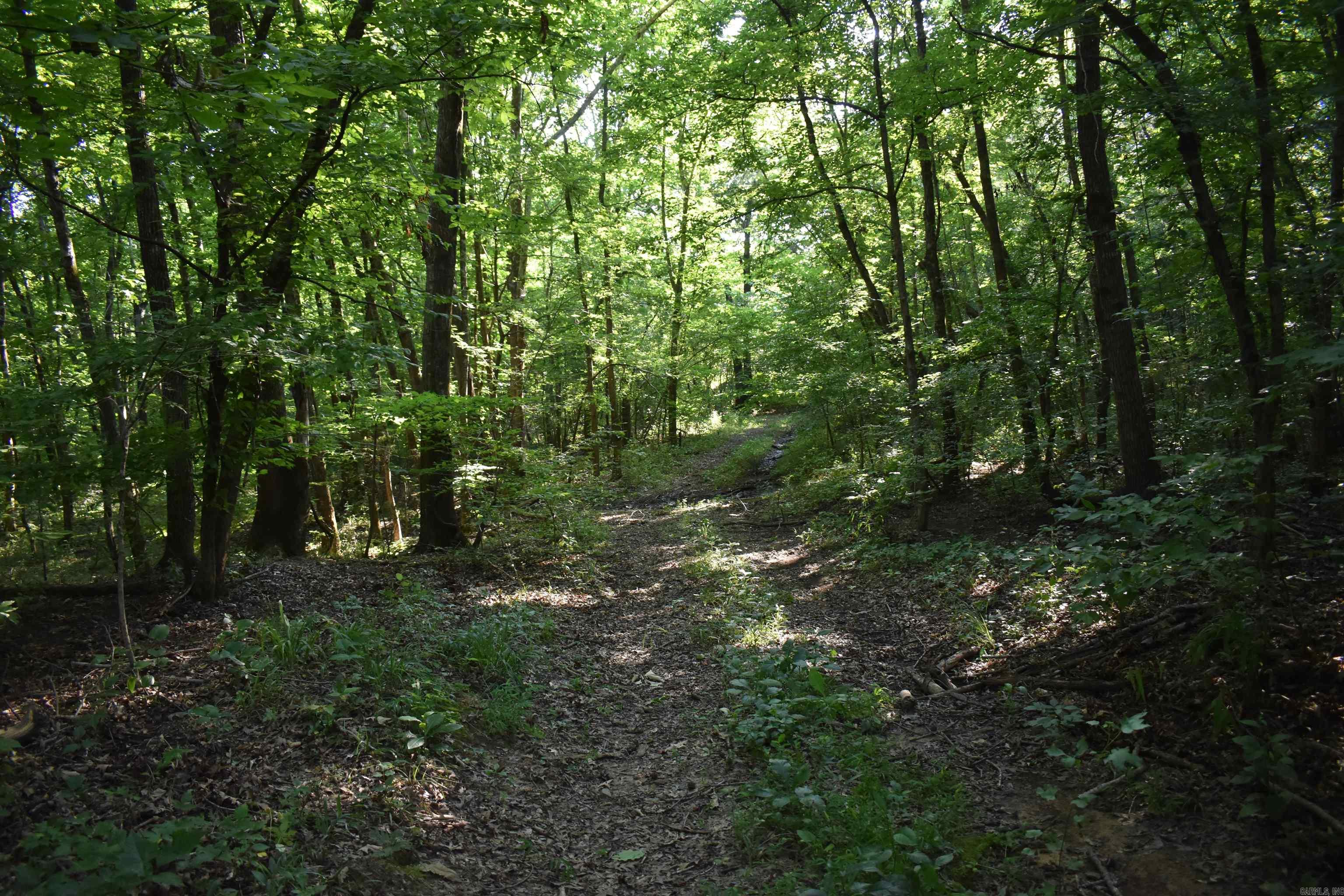 17803 Lucas Bottom Rd Property Photo 33