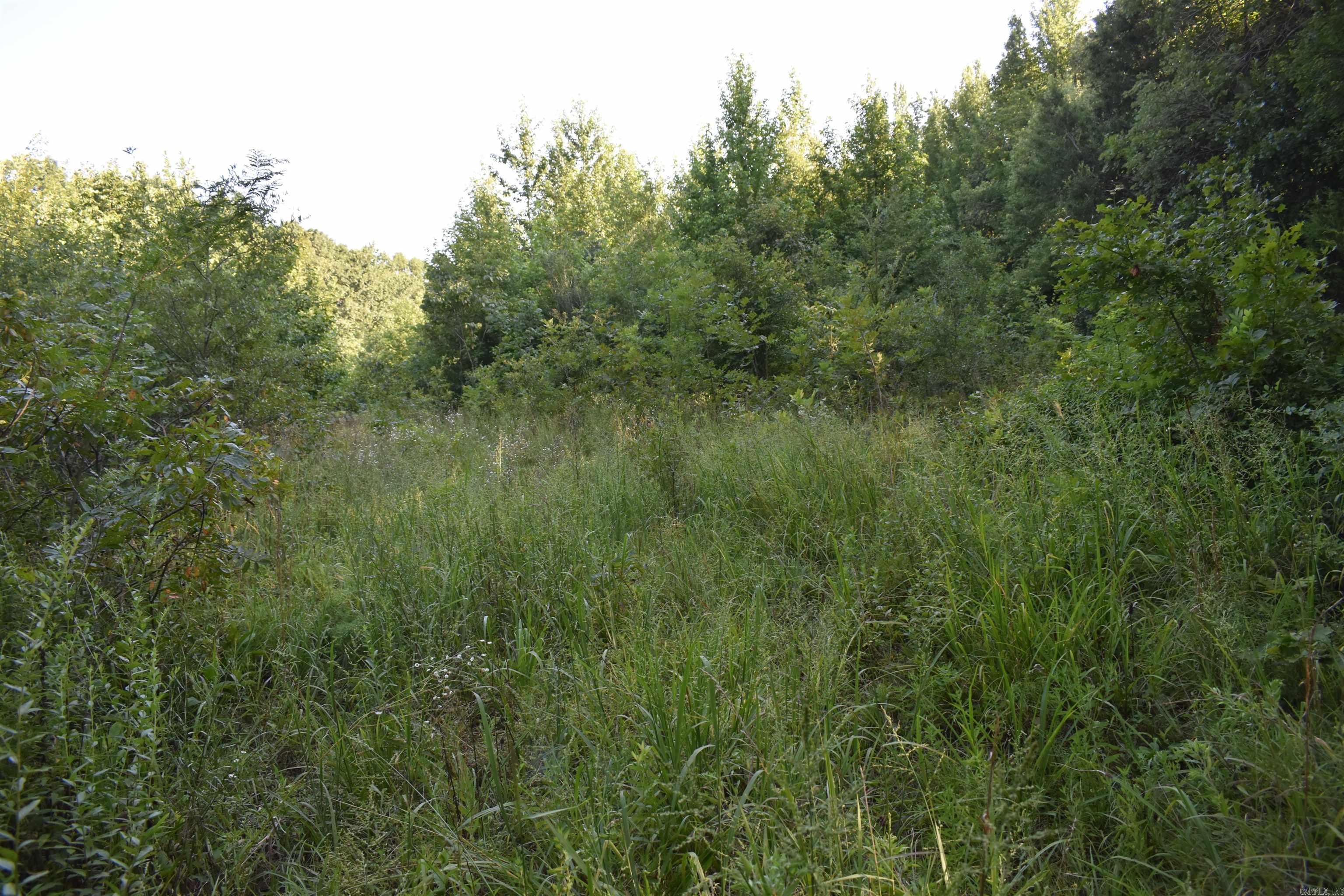 17803 Lucas Bottom Rd Property Photo 35