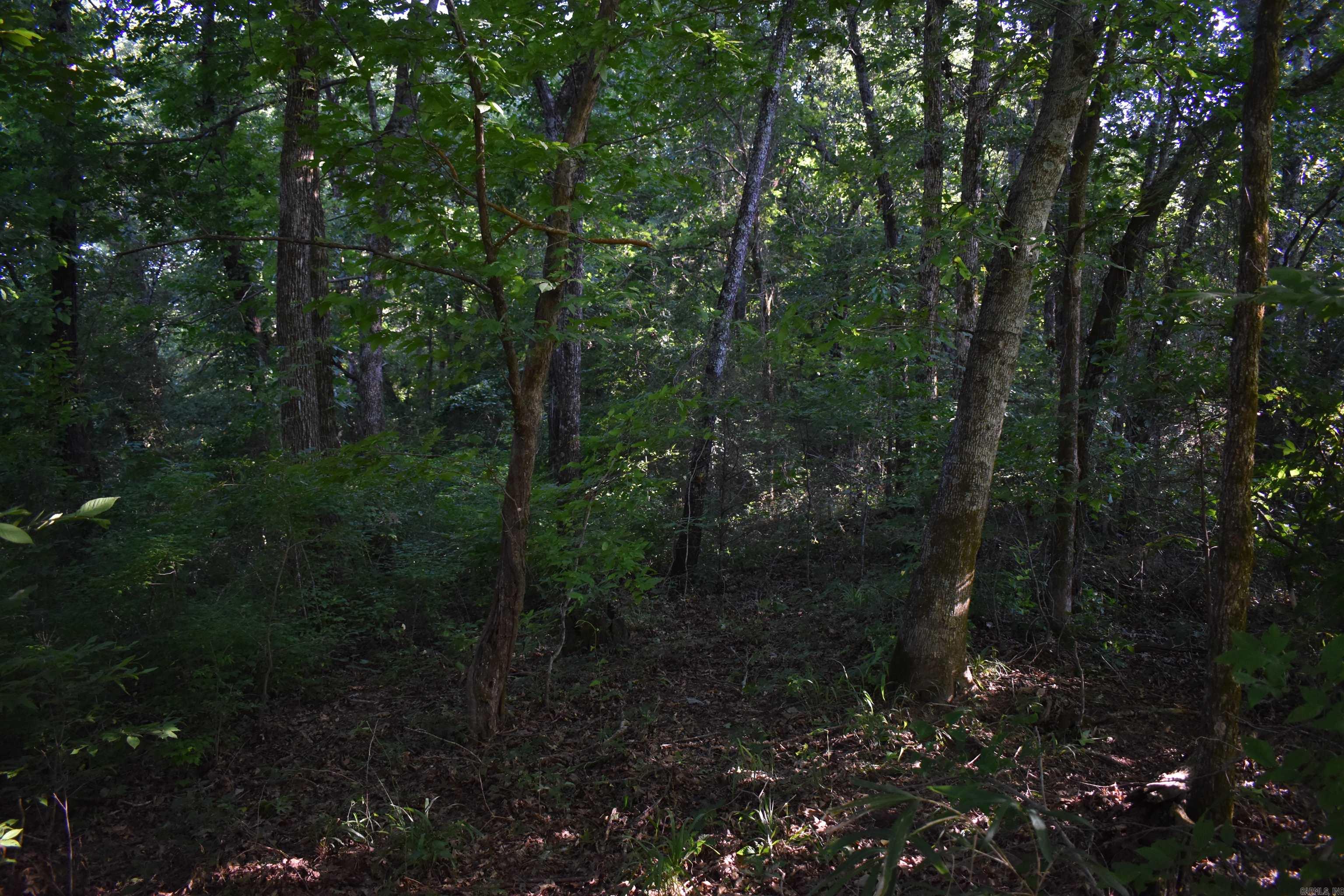 17803 Lucas Bottom Rd Property Photo 40