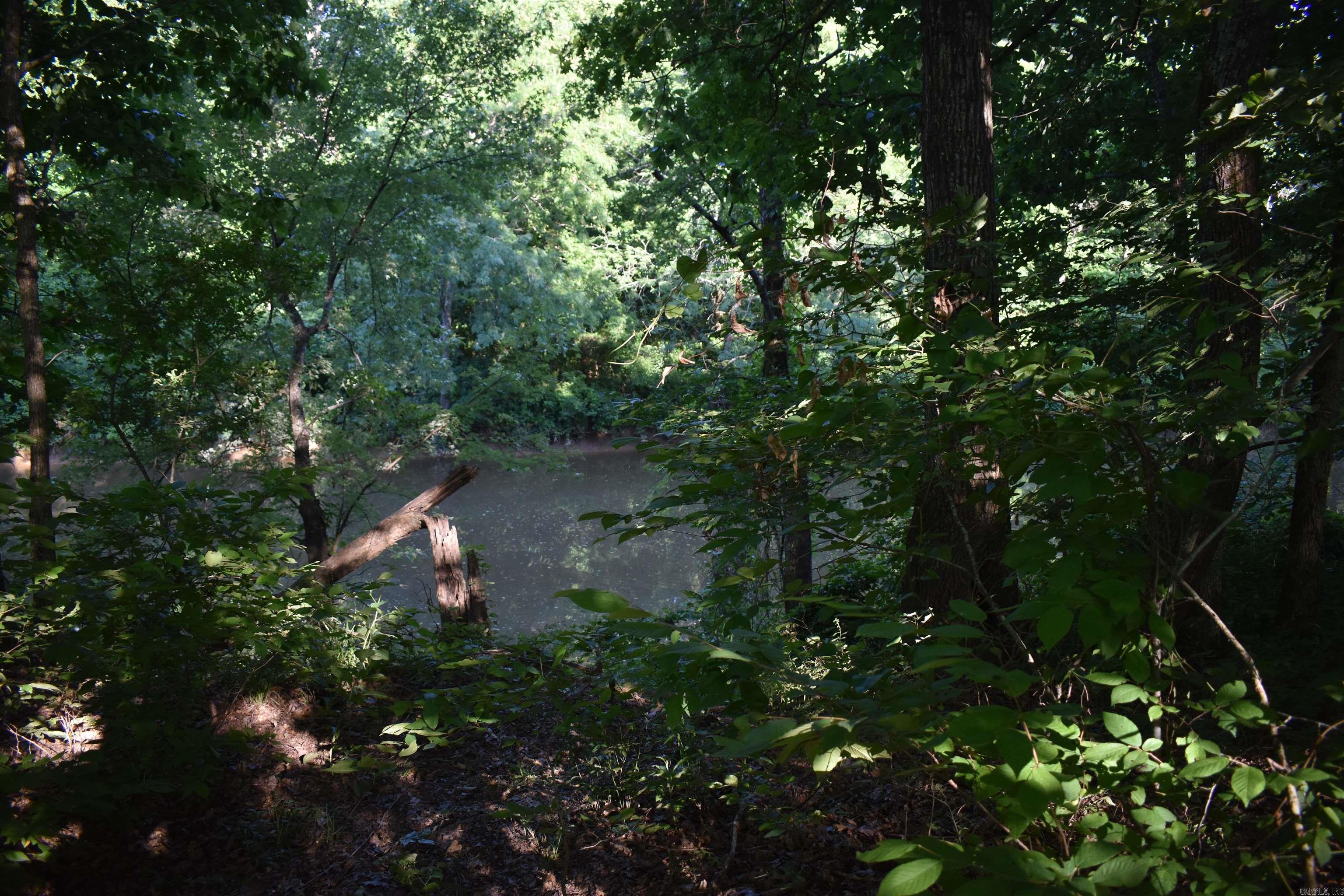17803 Lucas Bottom Rd Property Photo 41