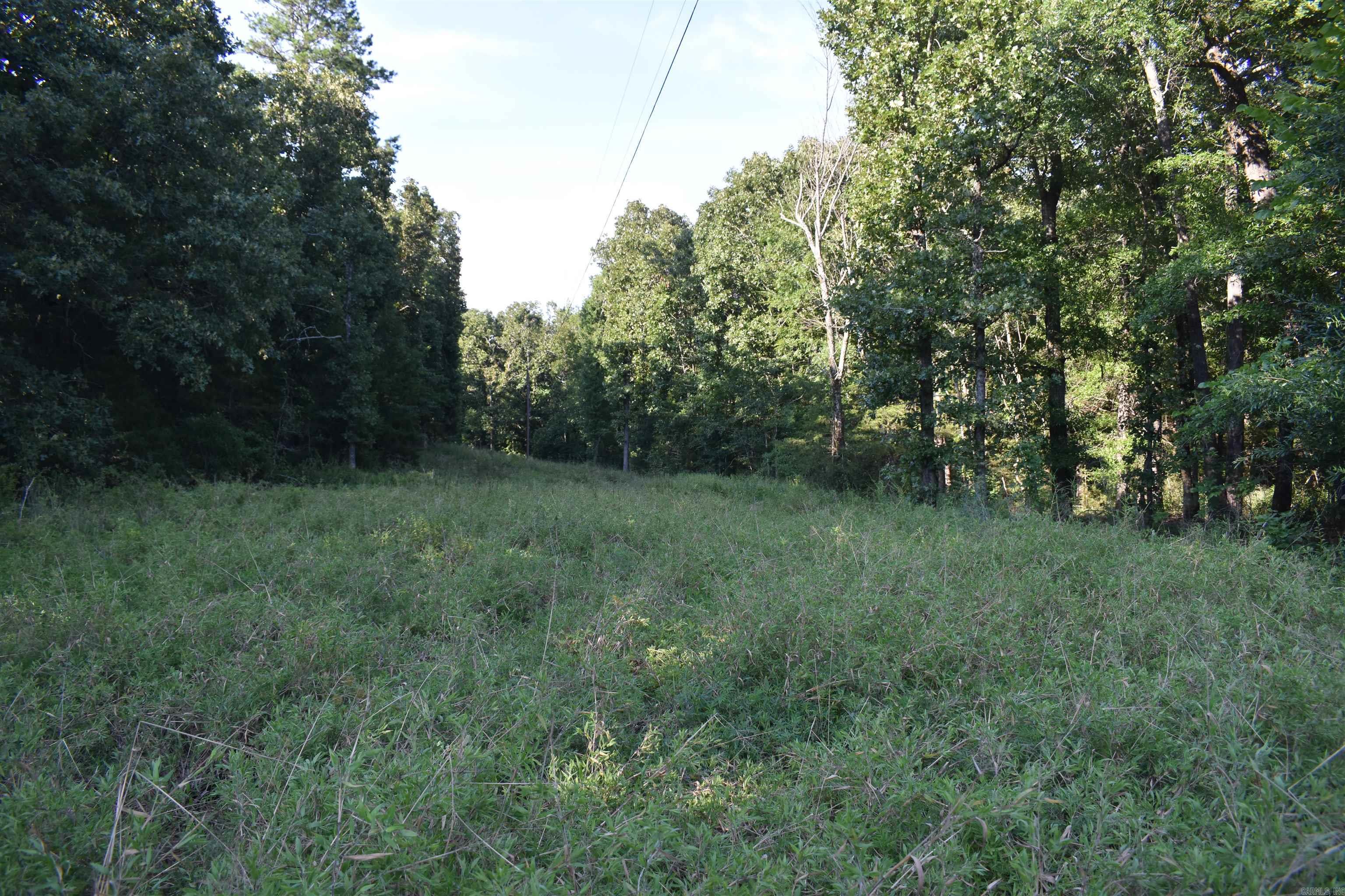 17803 Lucas Bottom Rd Property Photo 42