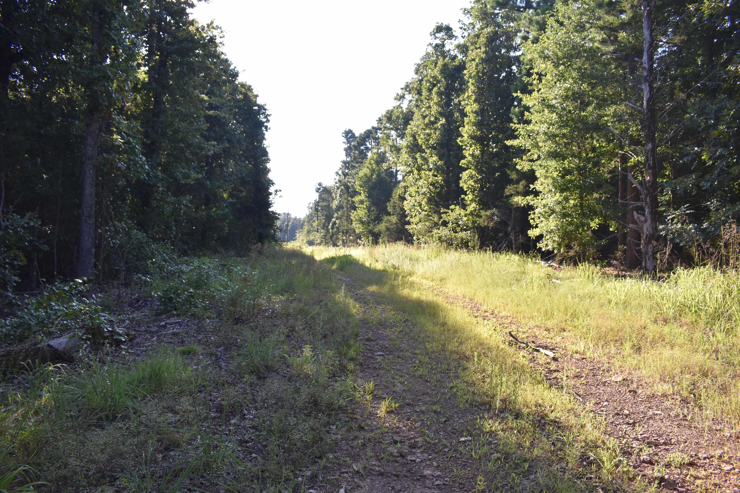 17803 Lucas Bottom Rd Property Photo 44