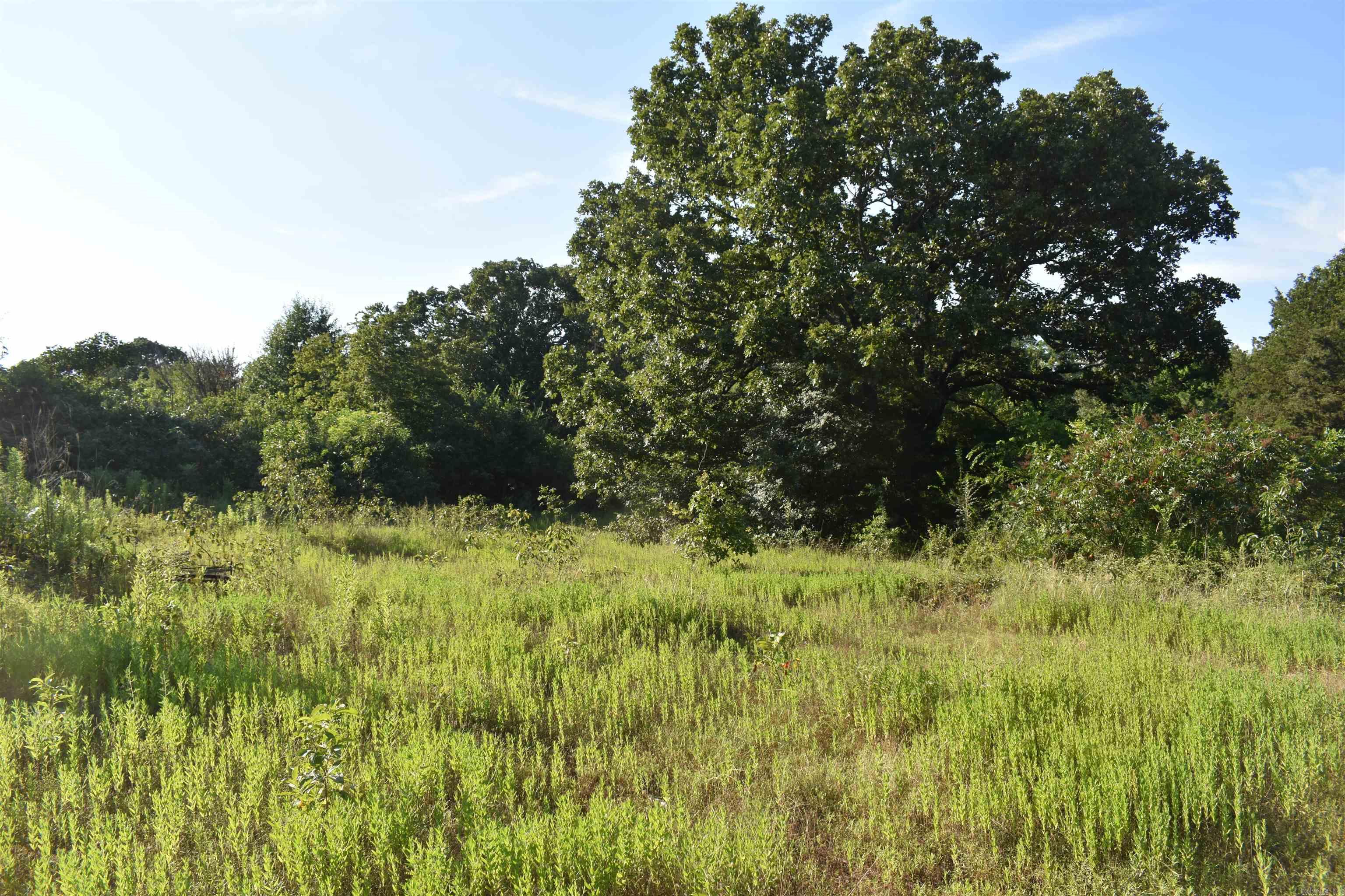 17803 Lucas Bottom Rd Property Photo 48