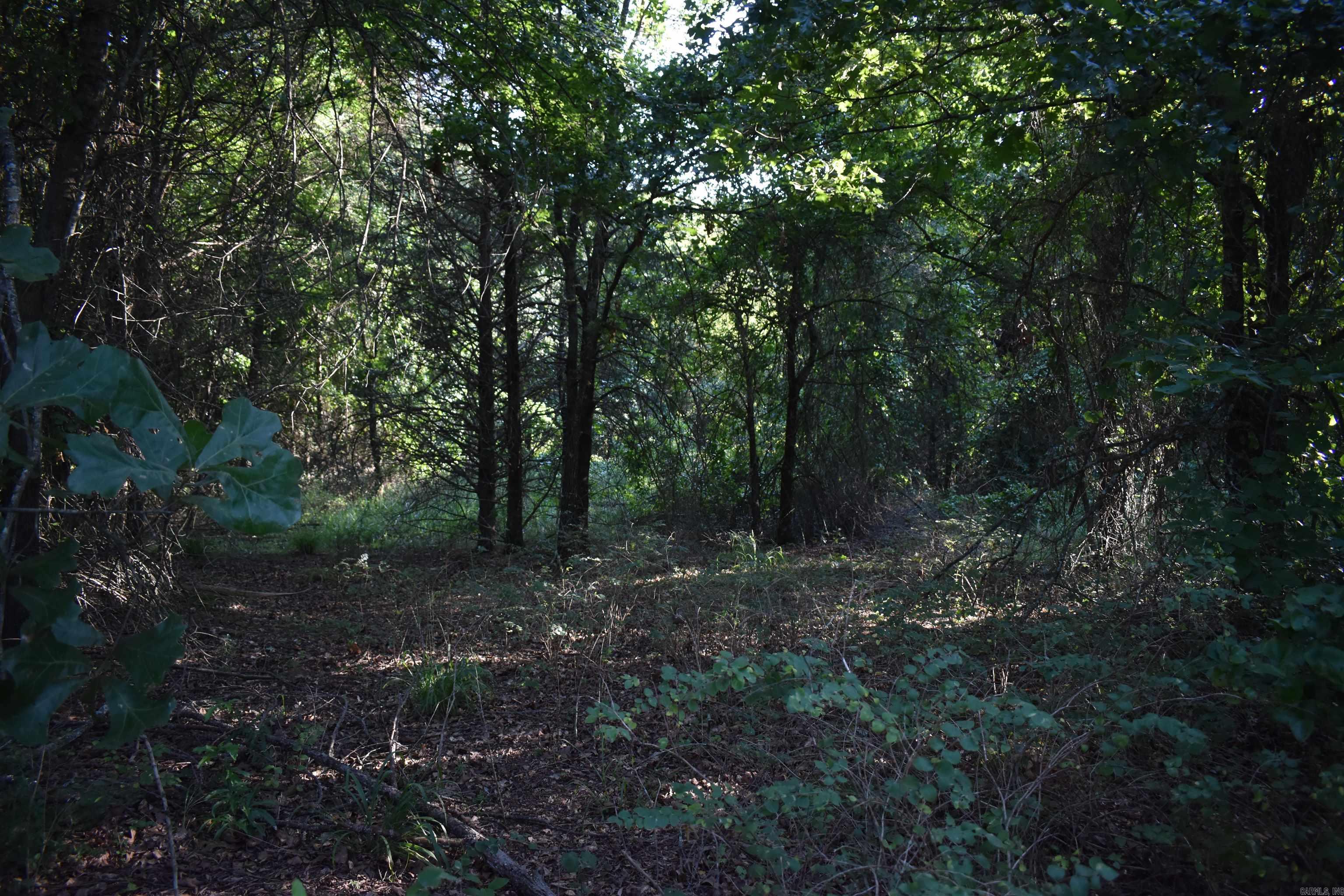 17803 Lucas Bottom Rd Property Photo 49