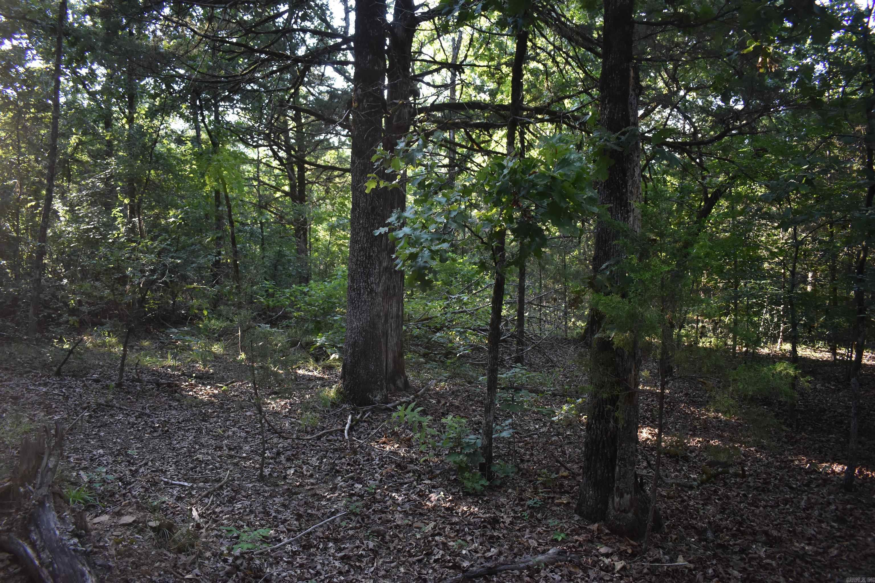 17803 Lucas Bottom Rd Property Photo 50