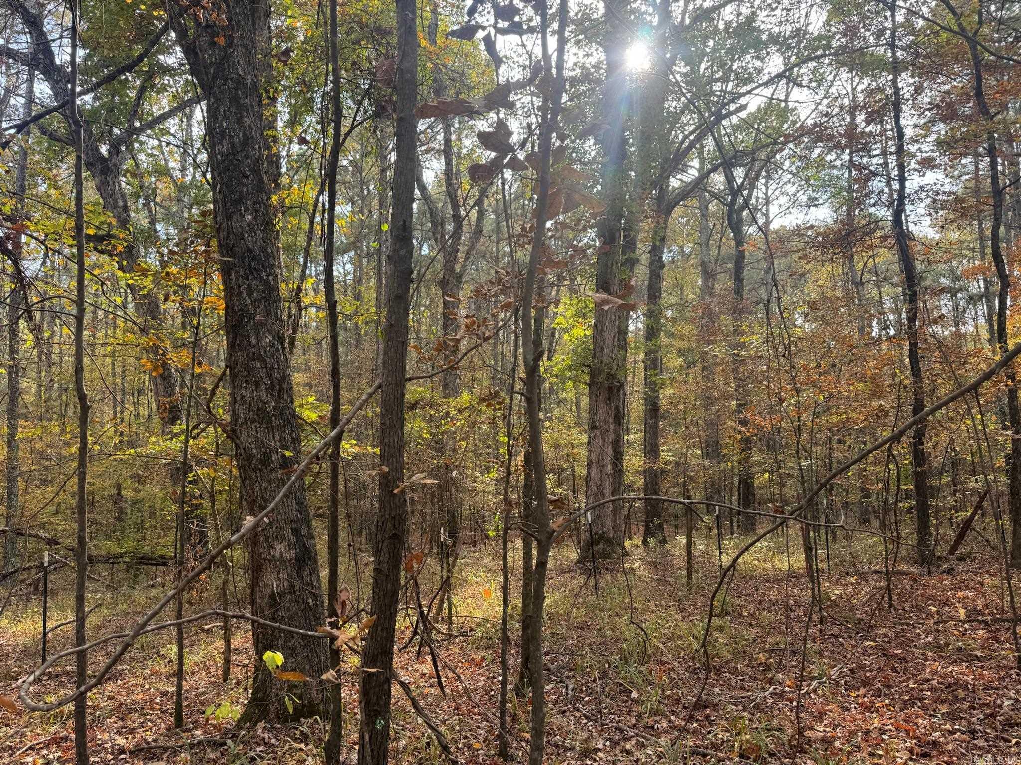 000 I30 Saginaw Ar, Lot#wp003 Property Photo 4